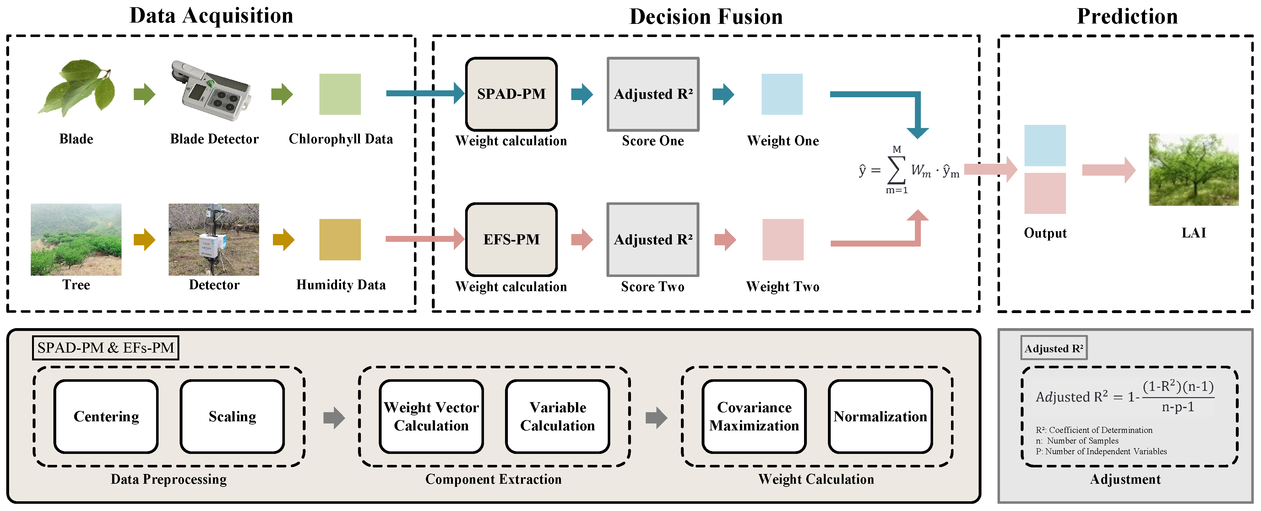 Agriculture 14 02076 g004