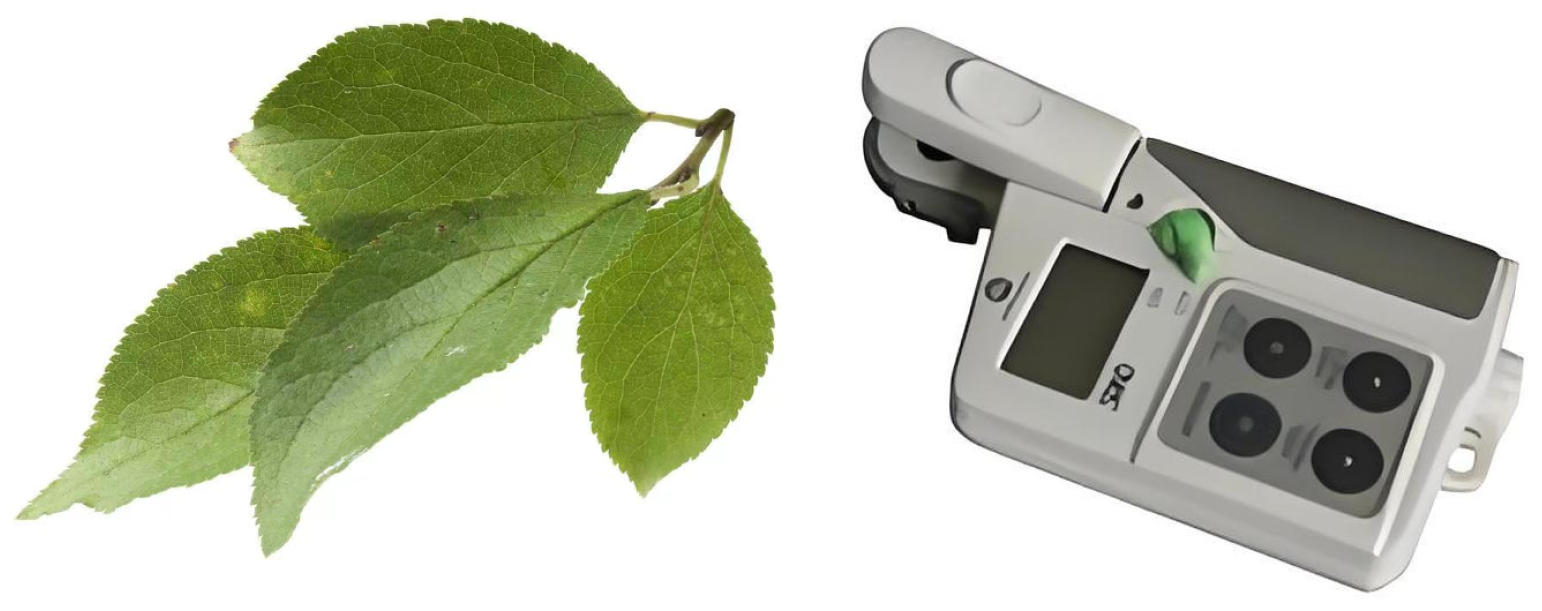 Agriculture 14 02076 g006