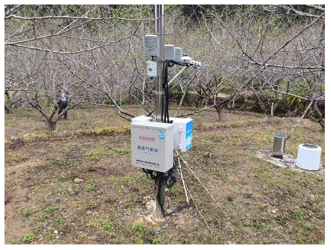 Agriculture 14 02076 g007