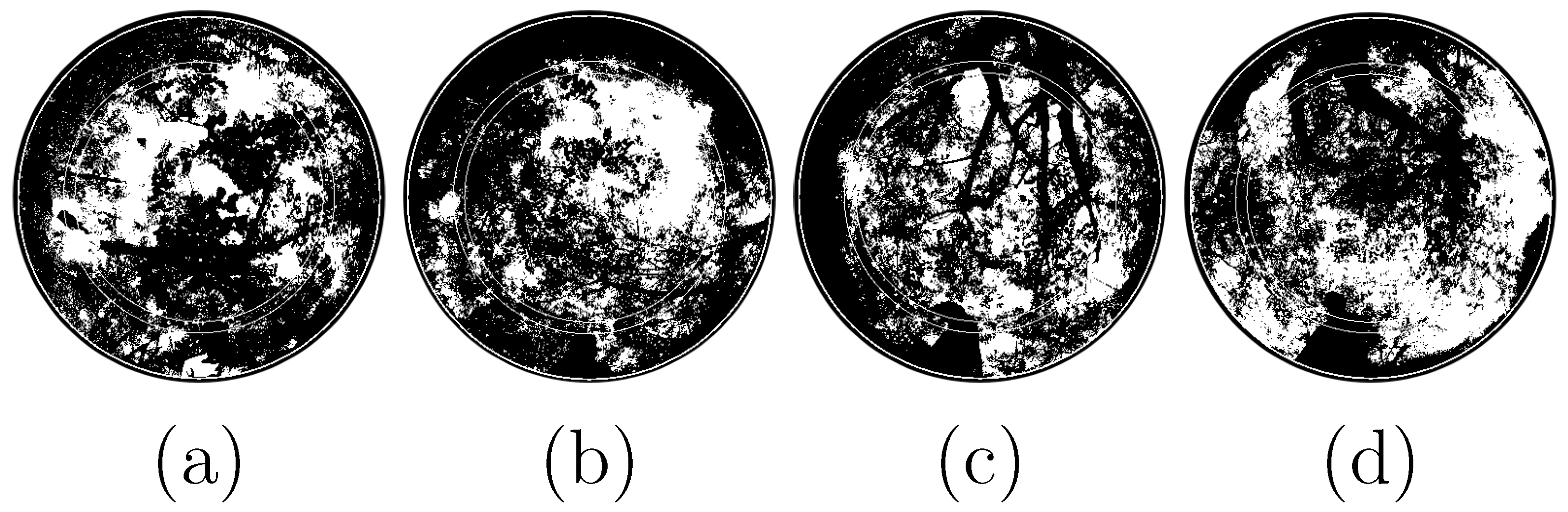 Agriculture 14 02076 g009