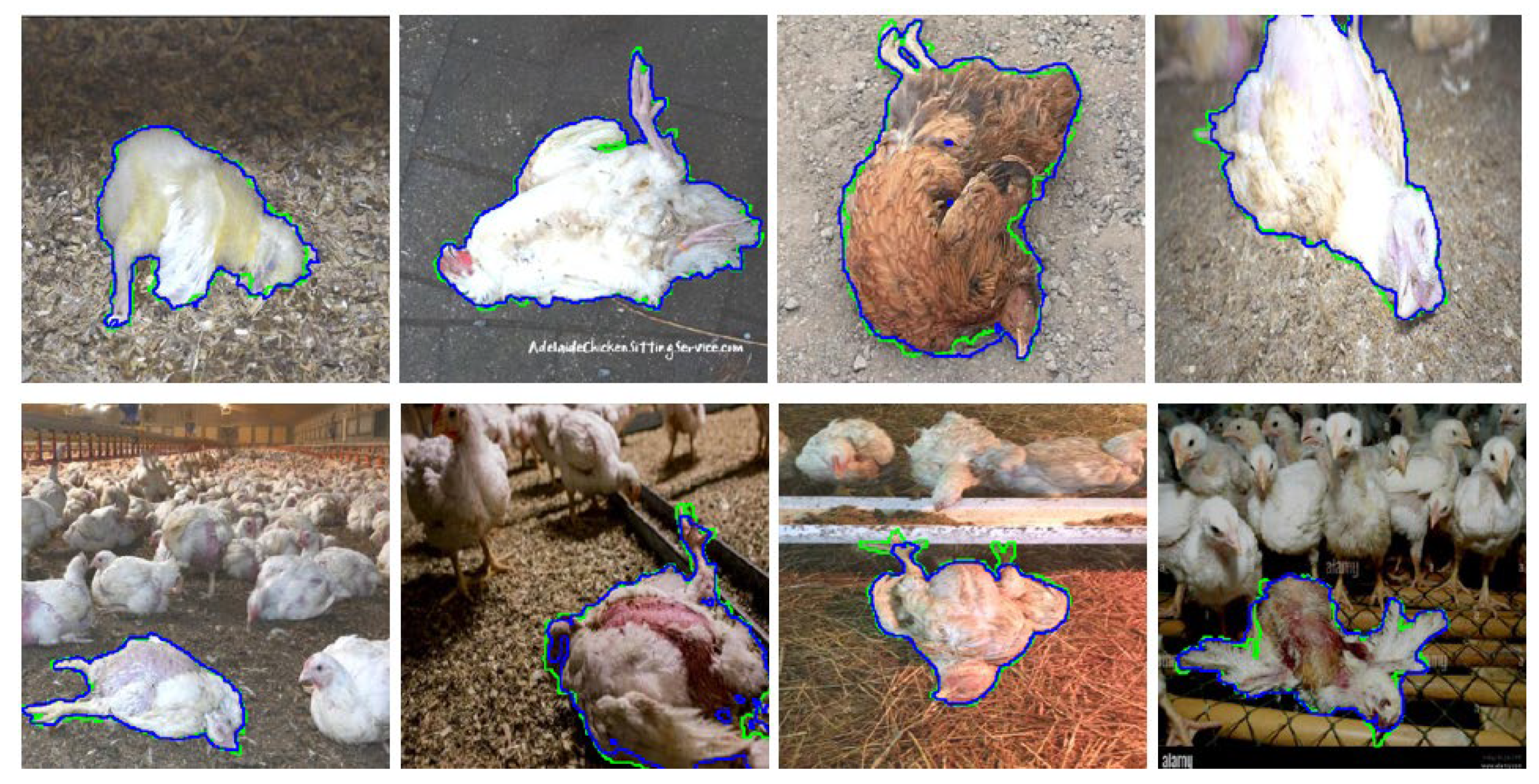 Agriculture 14 02082 g006