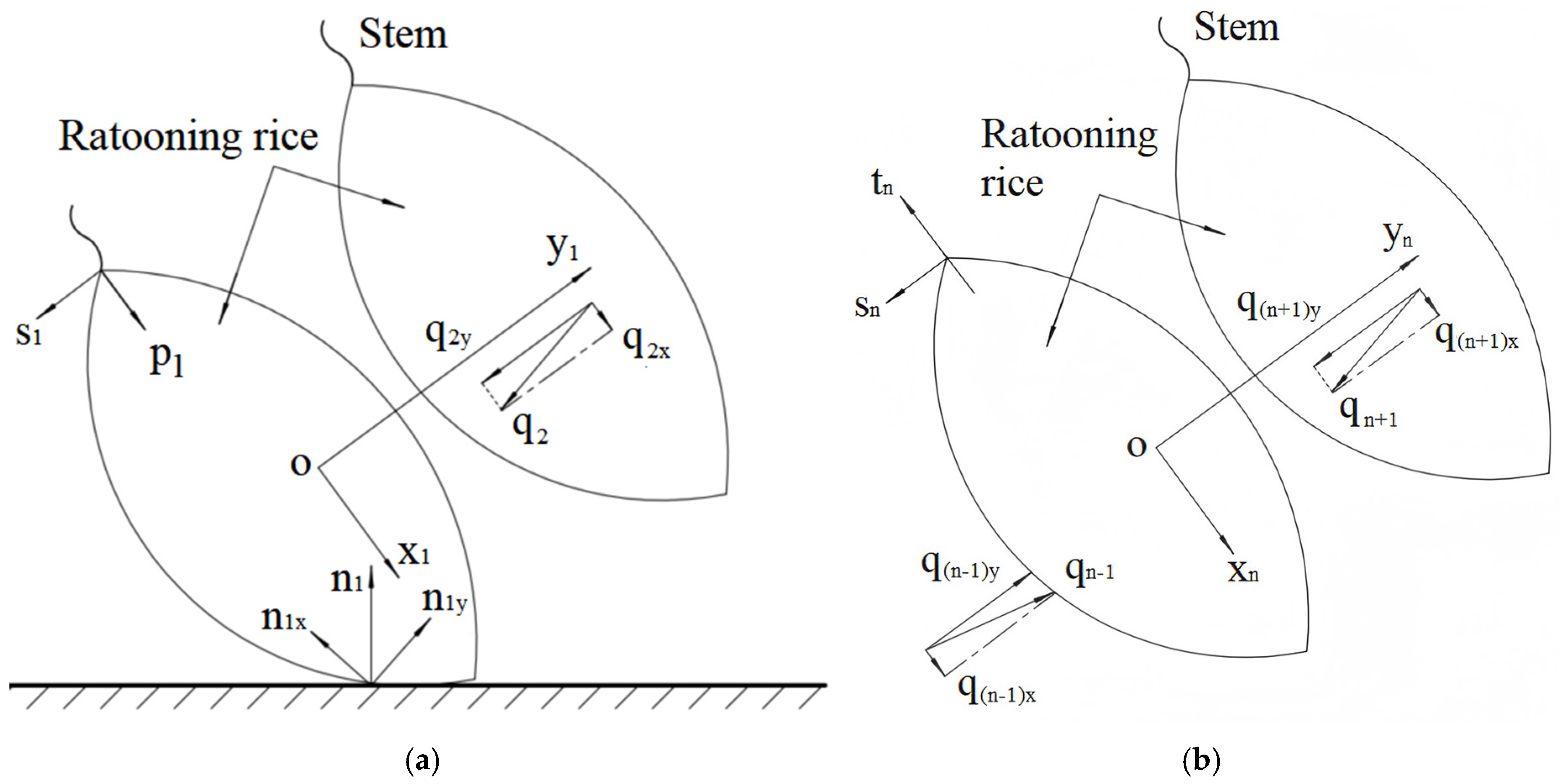 Agriculture 14 02083 g001