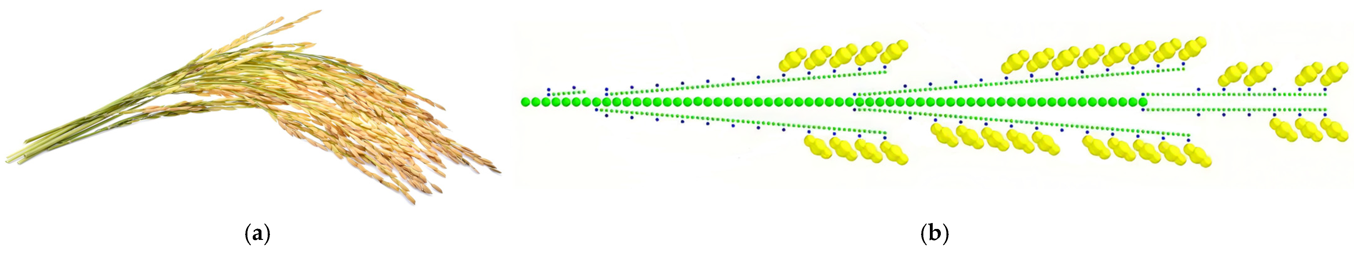 Agriculture 14 02083 g009