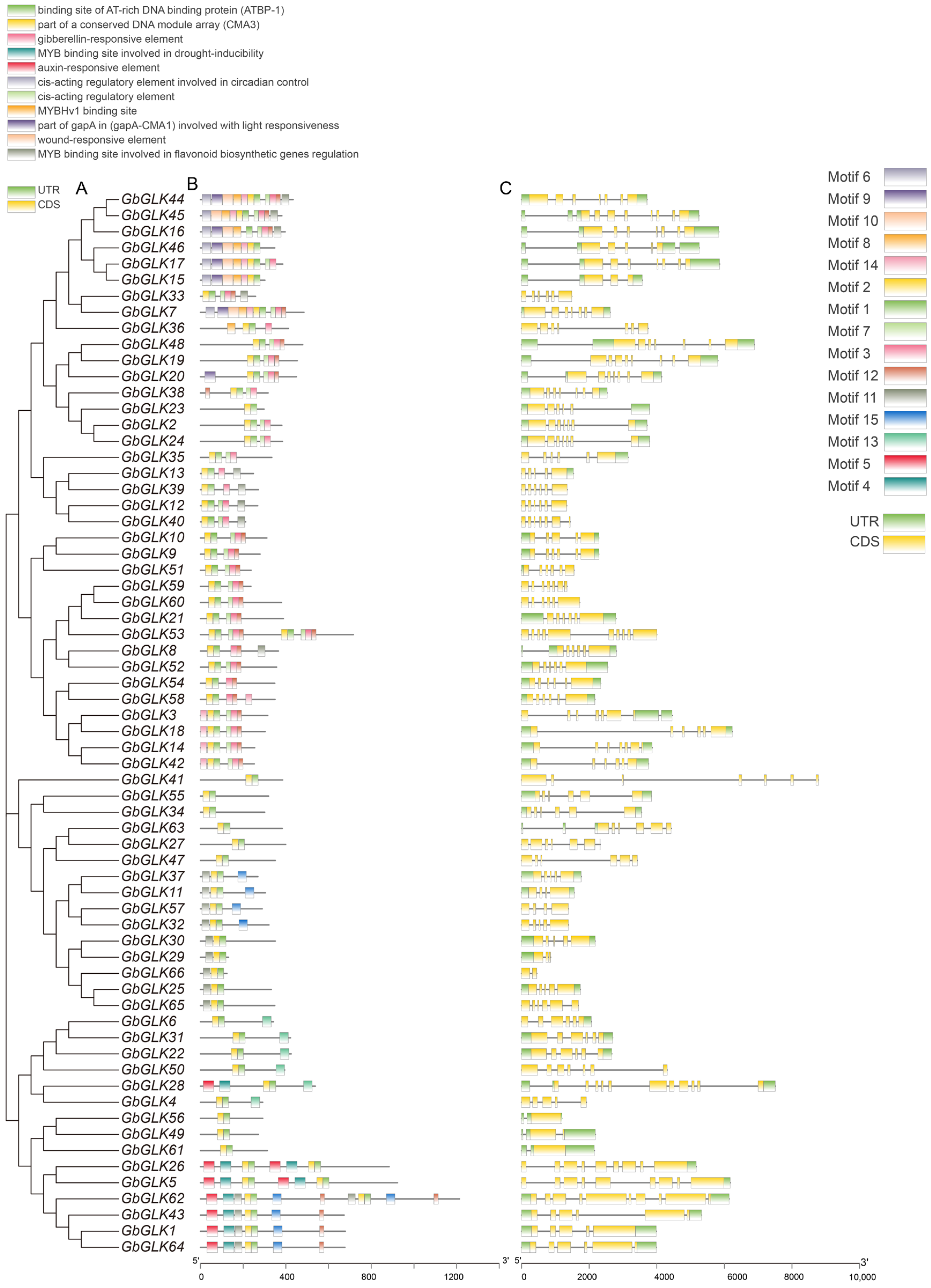 Agriculture 14 02086 g005