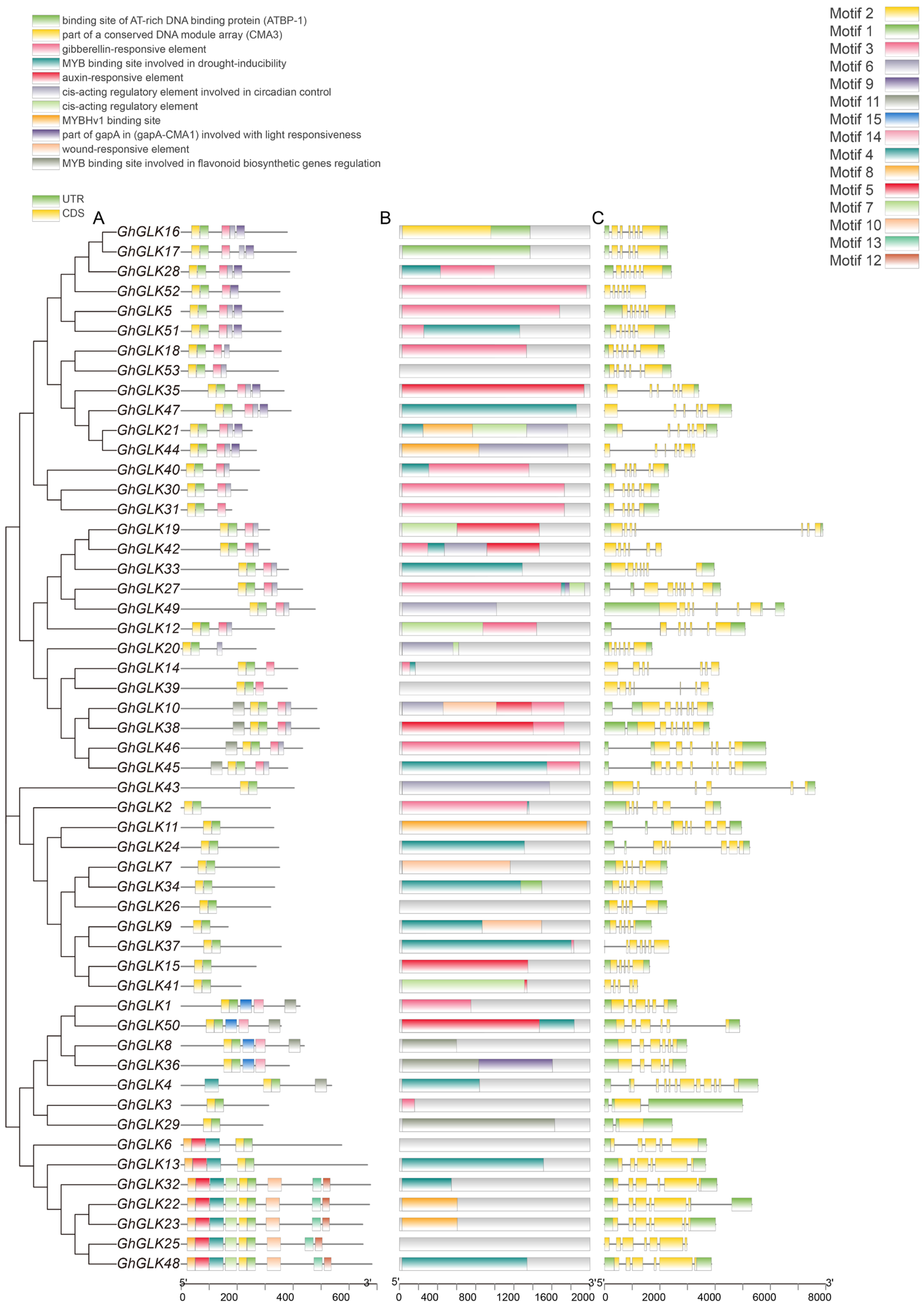 Agriculture 14 02086 g006