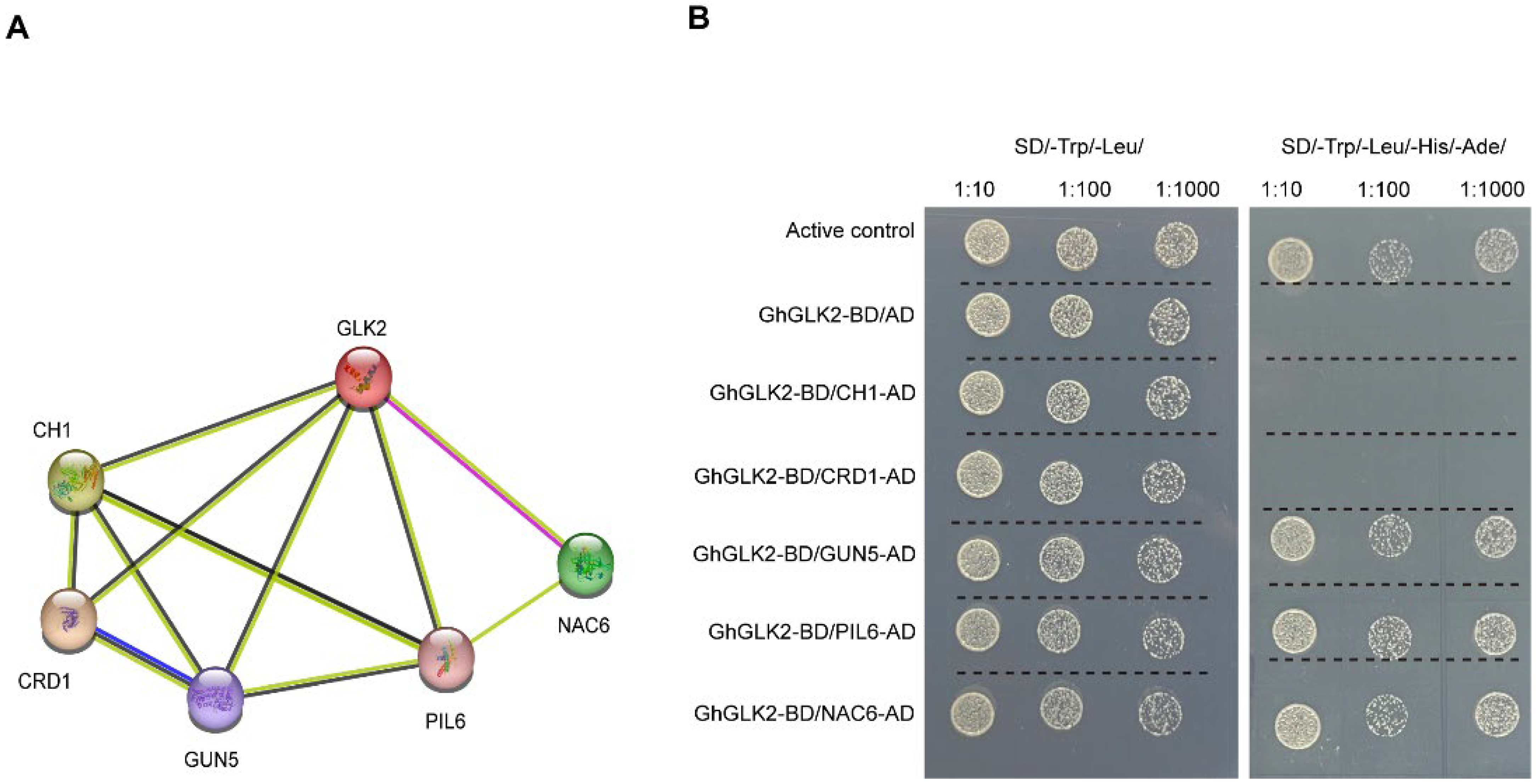 Agriculture 14 02086 g011