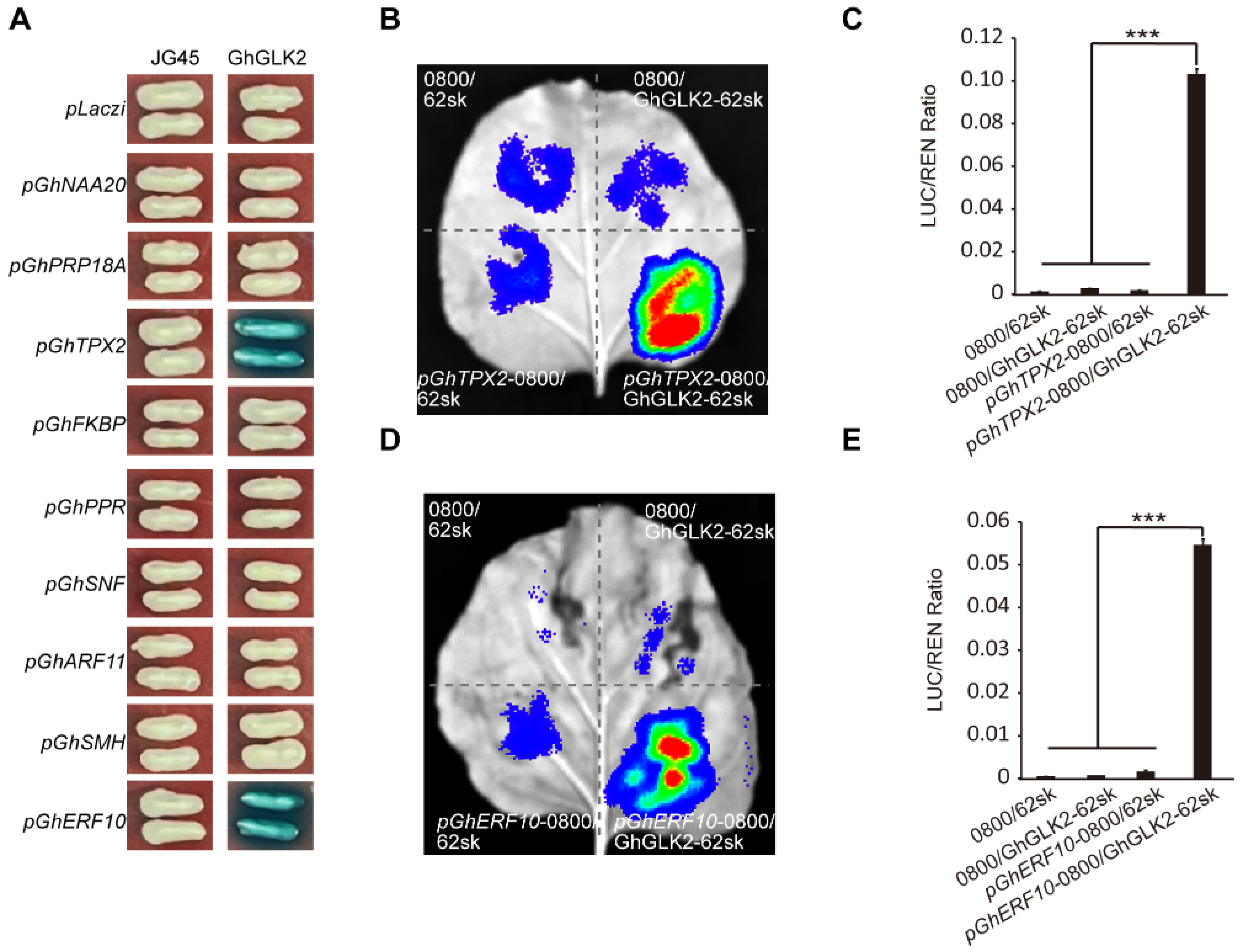 Agriculture 14 02086 g012