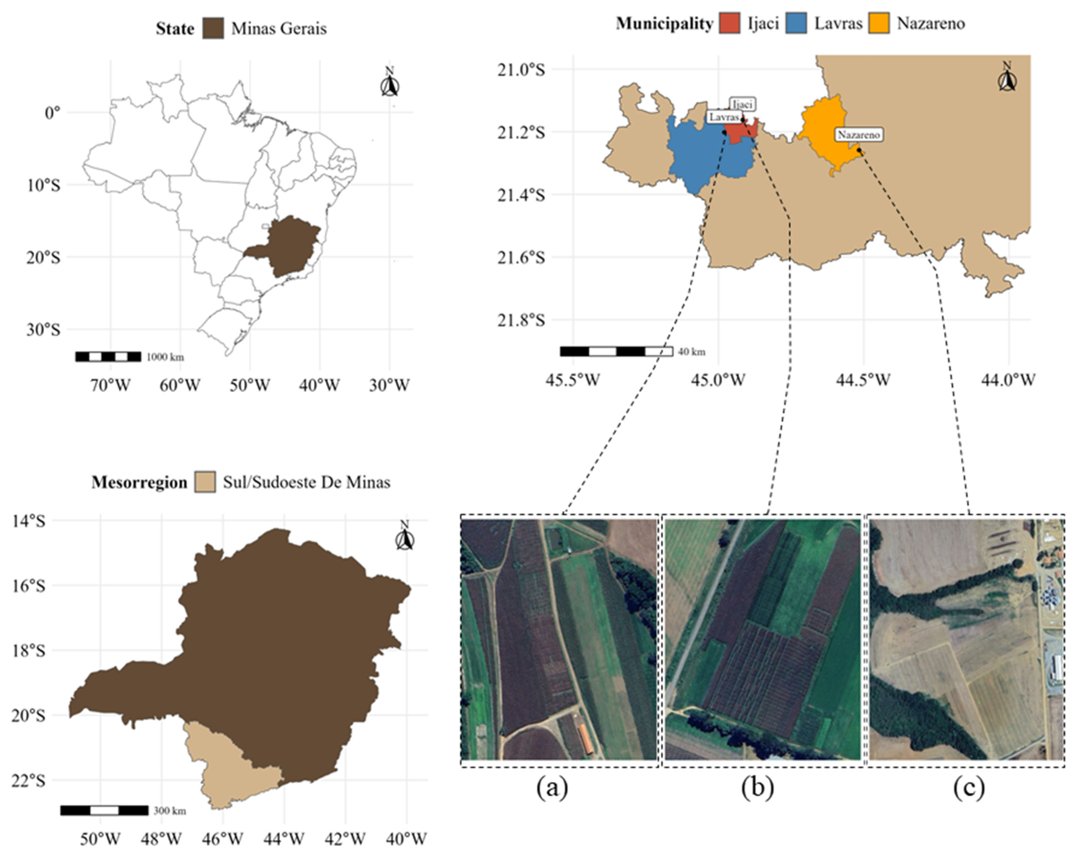 Agriculture 14 02088 g001