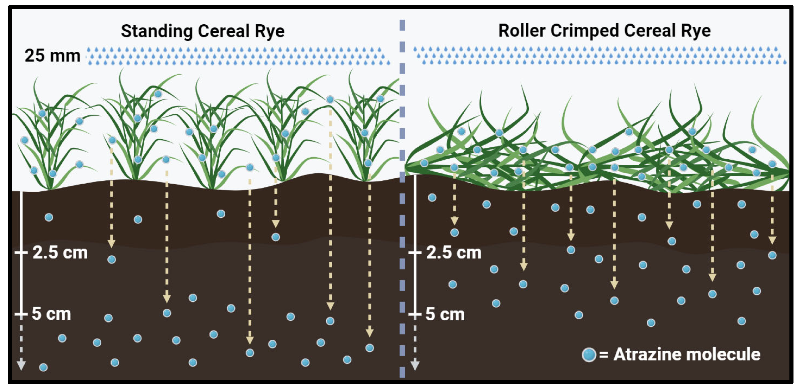 Agriculture 14 02089 g001 Agriculture 14 02089 g001