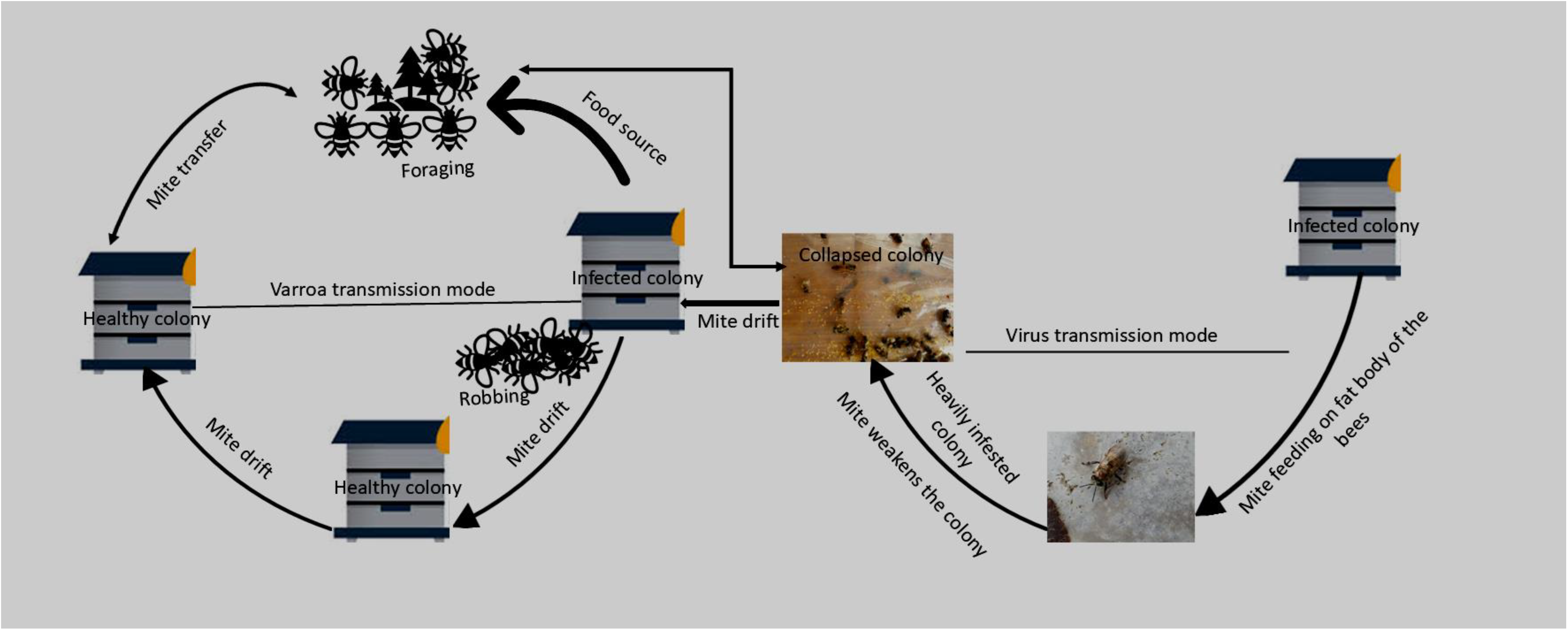 Agriculture 14 02094 g002