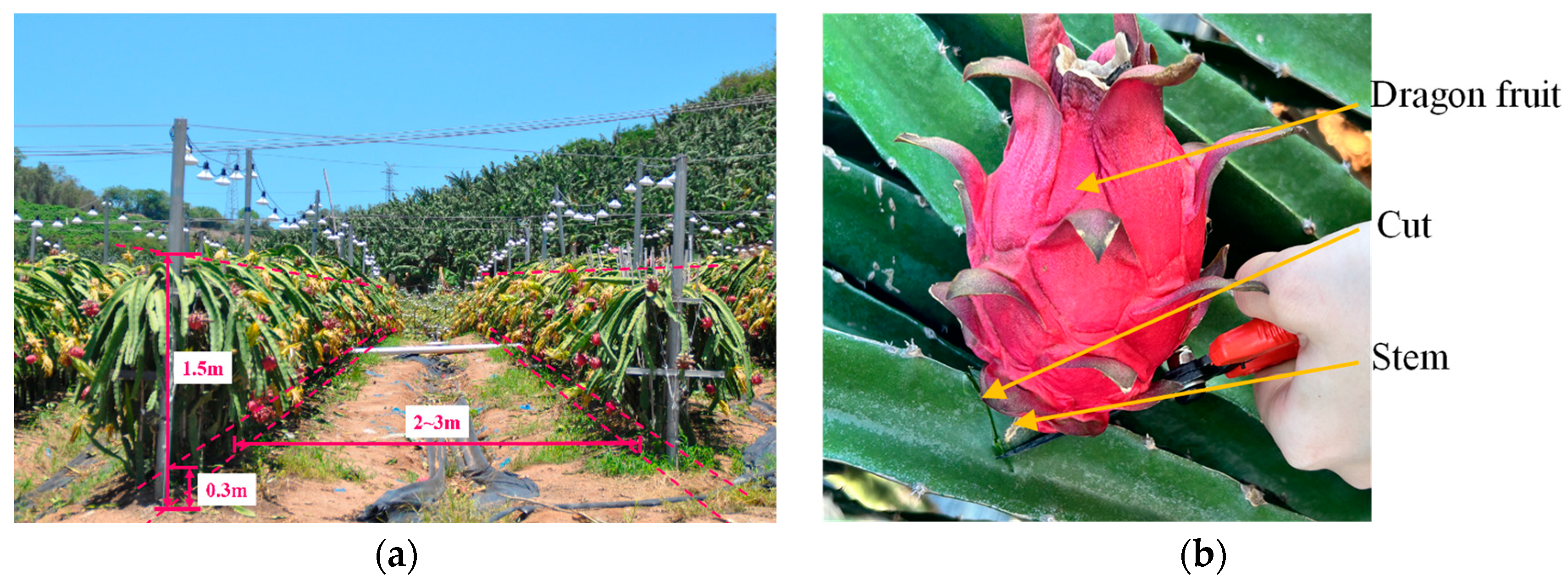 Agriculture 14 02095 g001