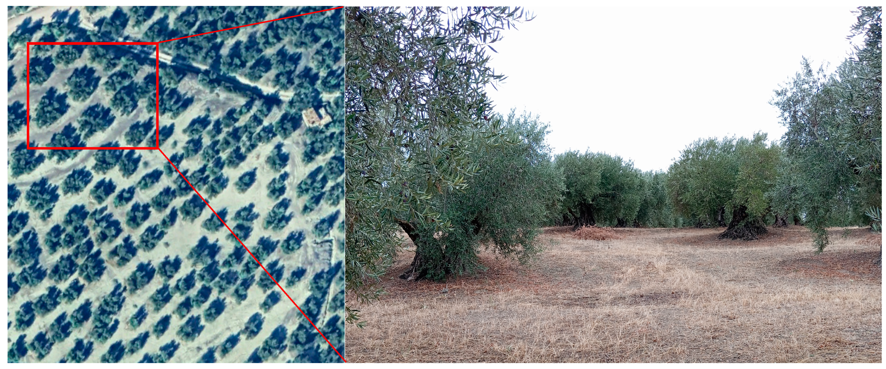 Agriculture 14 02112 g002 Agriculture 14 02112 g002