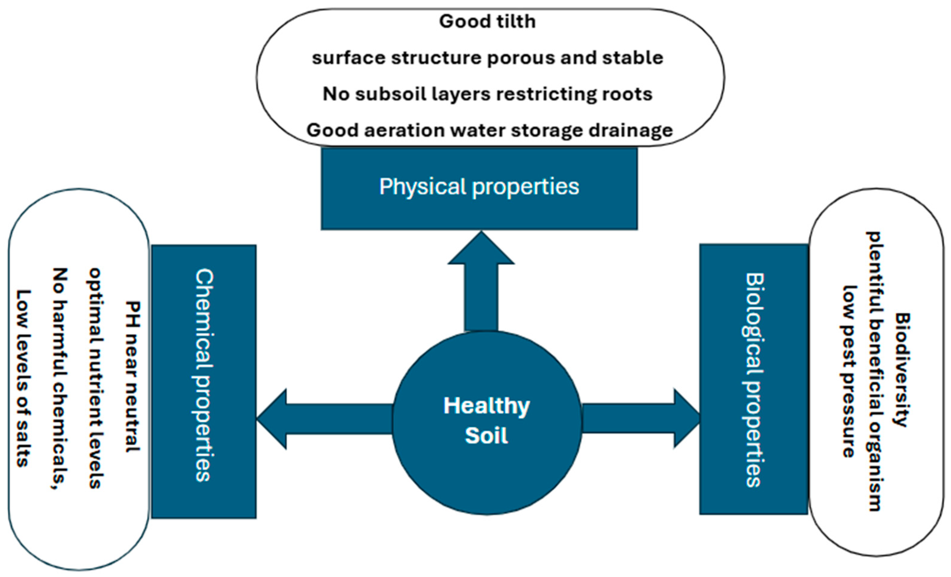 Agriculture 14 02114 g004