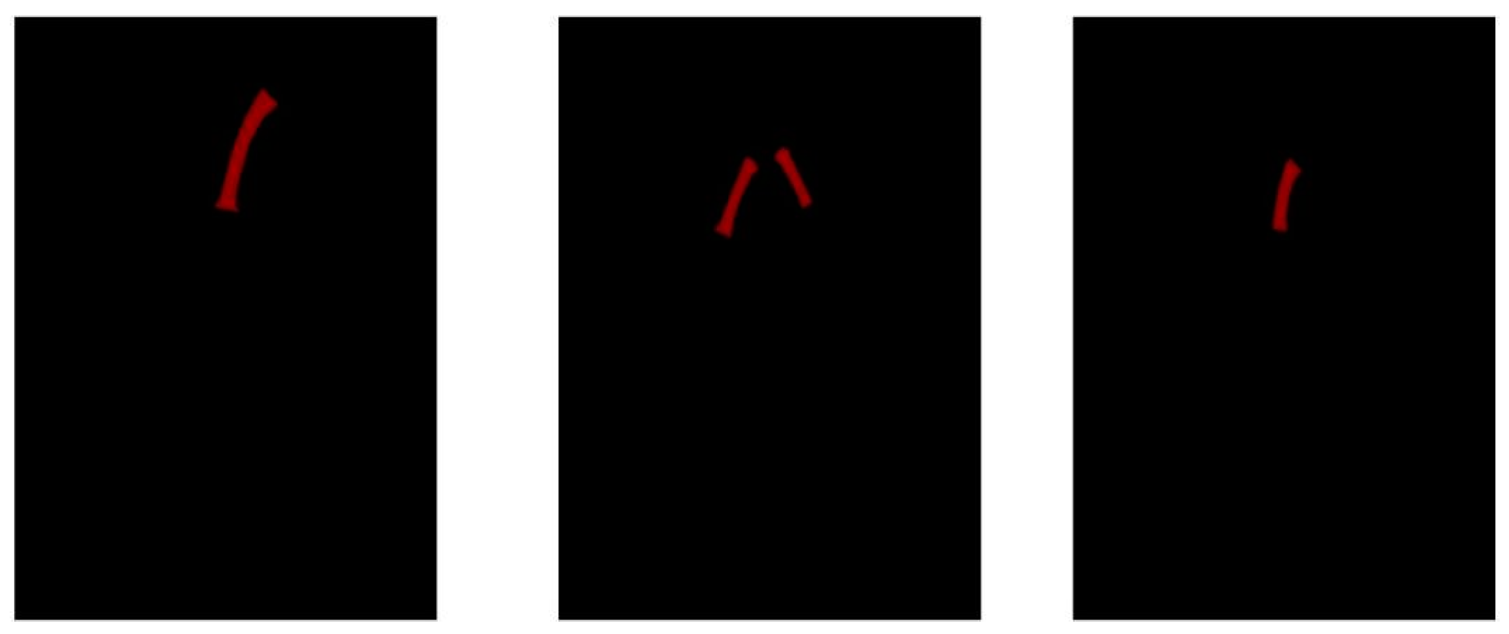 Agriculture 14 02120 g002