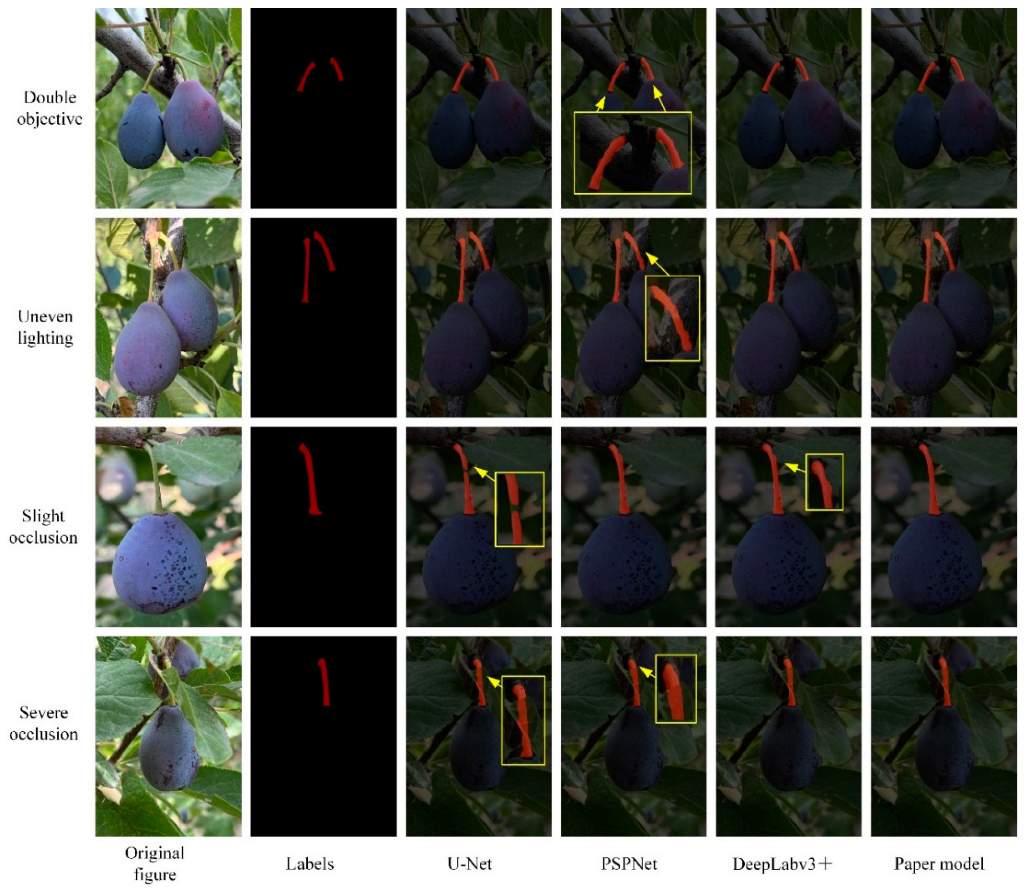 Agriculture 14 02120 g009