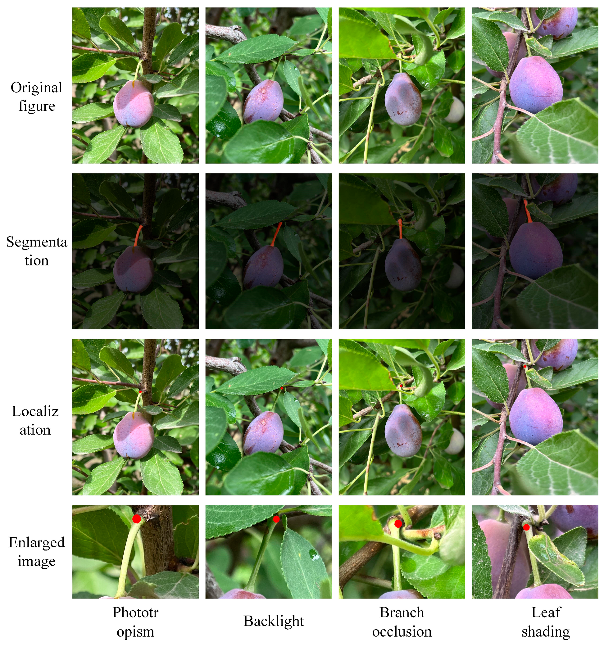 Agriculture 14 02120 g012