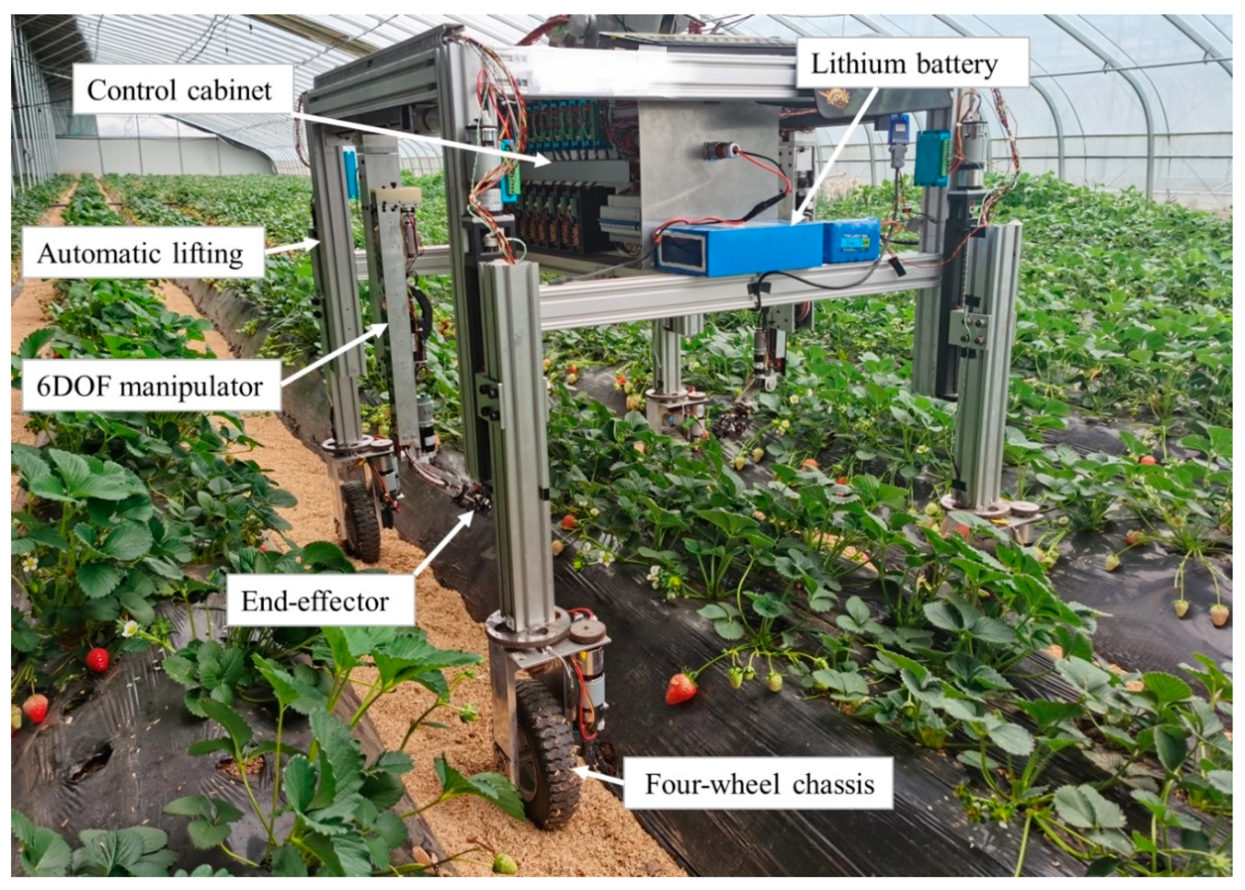 Agriculture 14 02126 g001