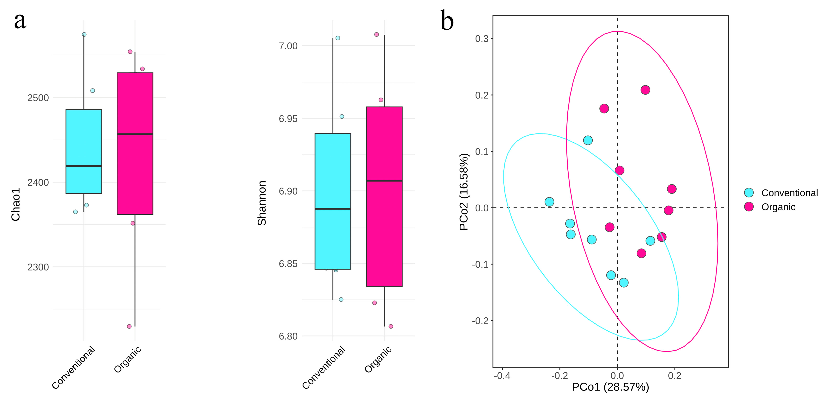 Structural and Functional Differences in the Bacterial