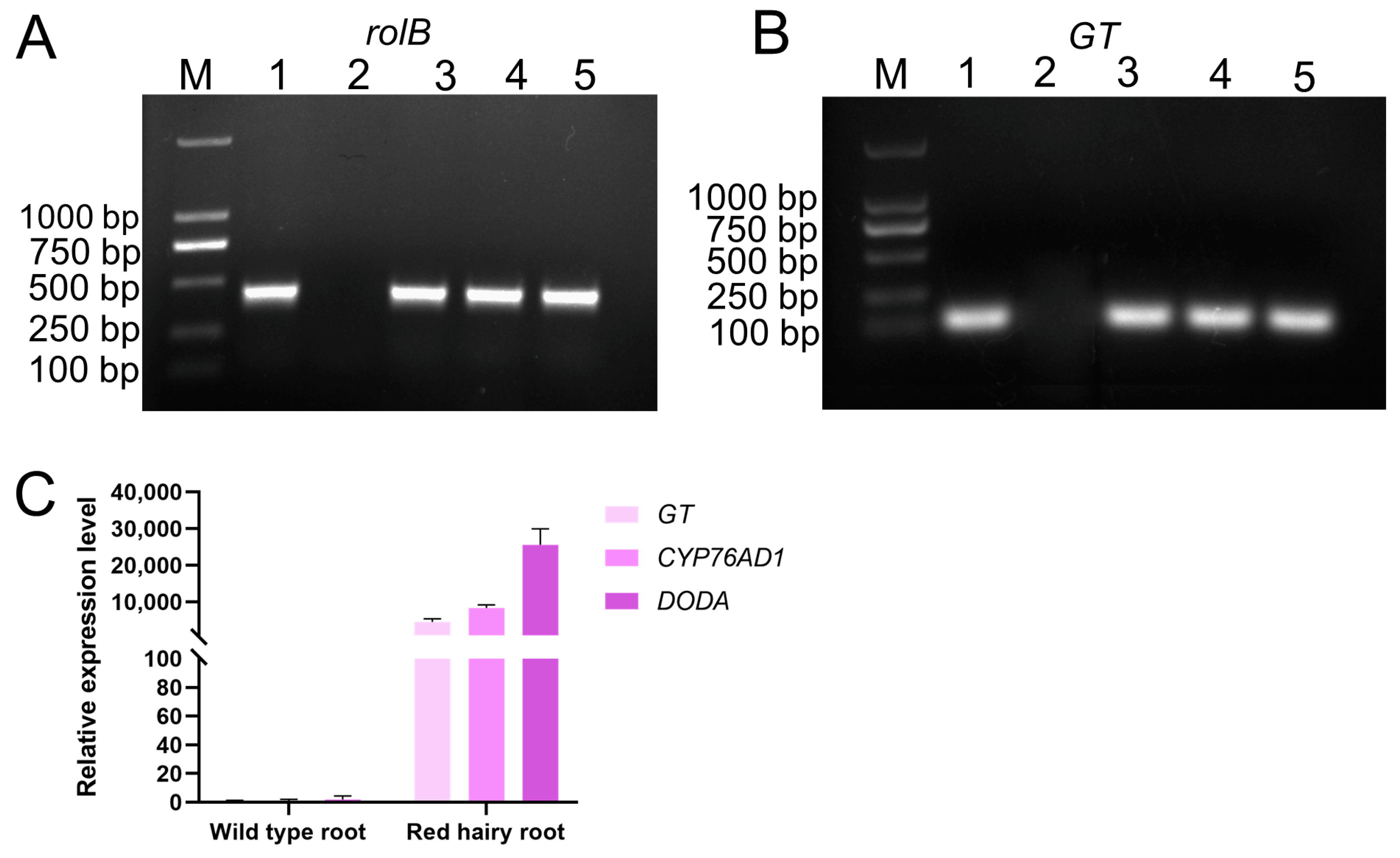 Agriculture 14 02132 g005