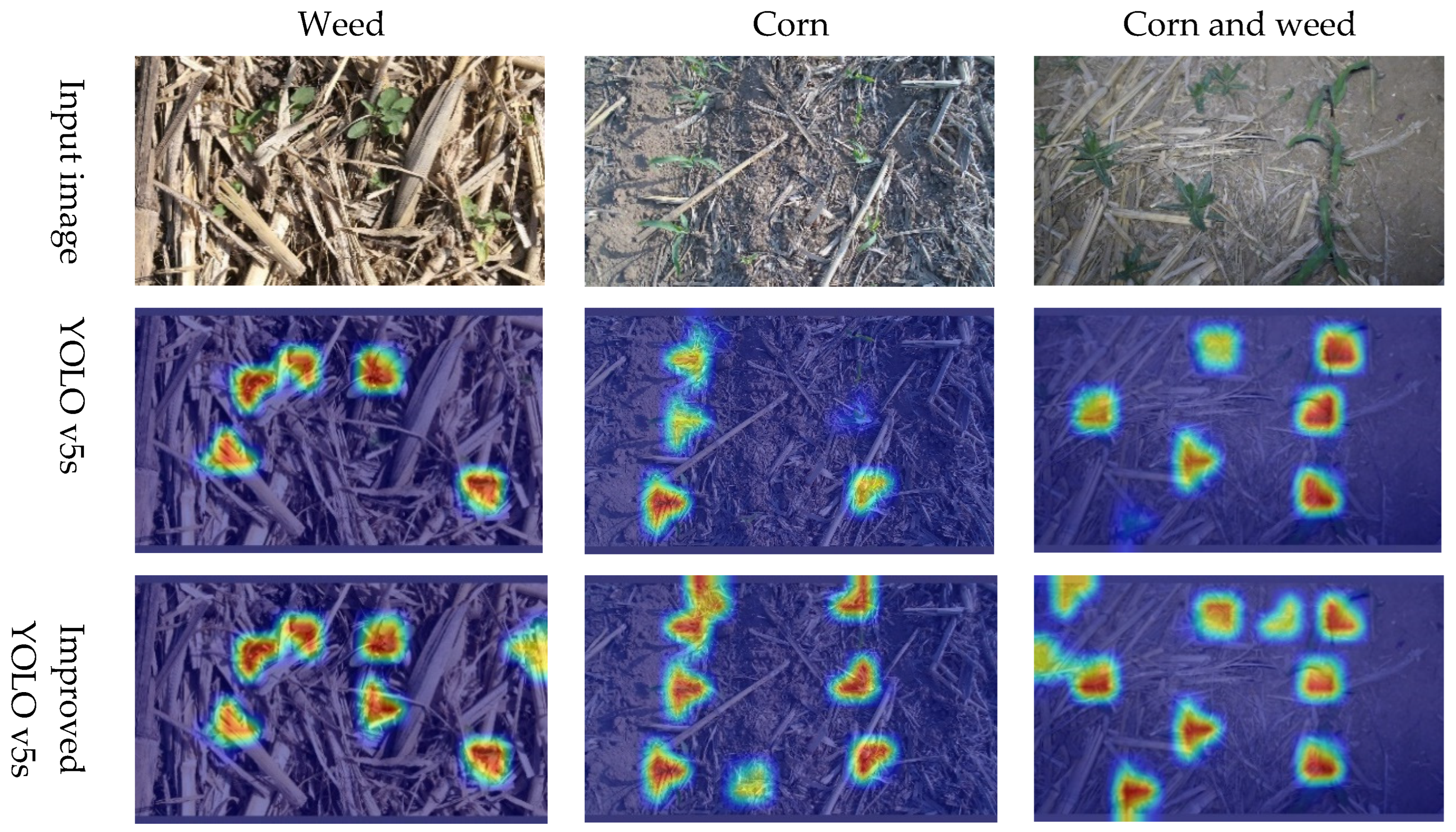 Agriculture 14 02134 g007