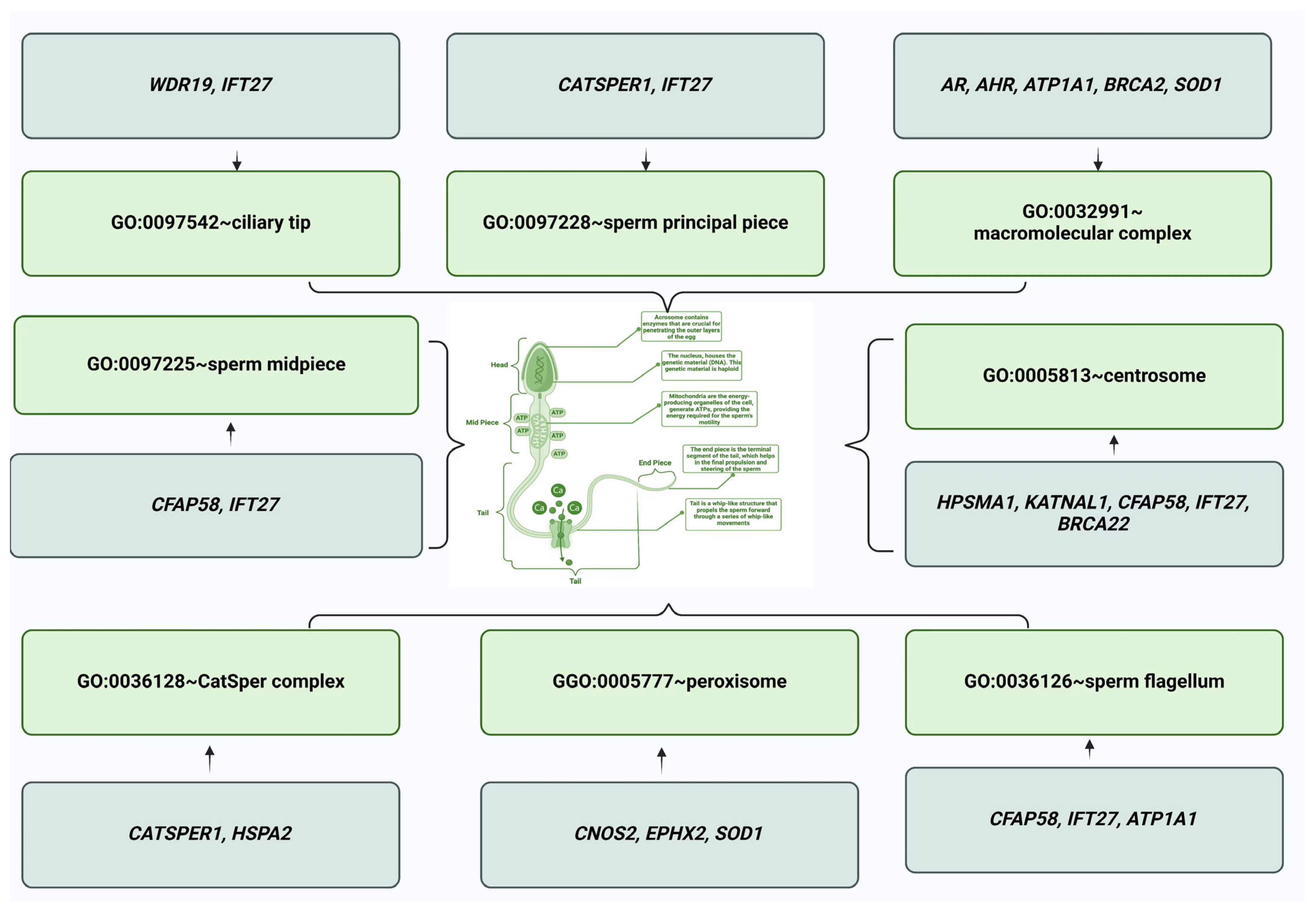 Agriculture 14 02137 g003
