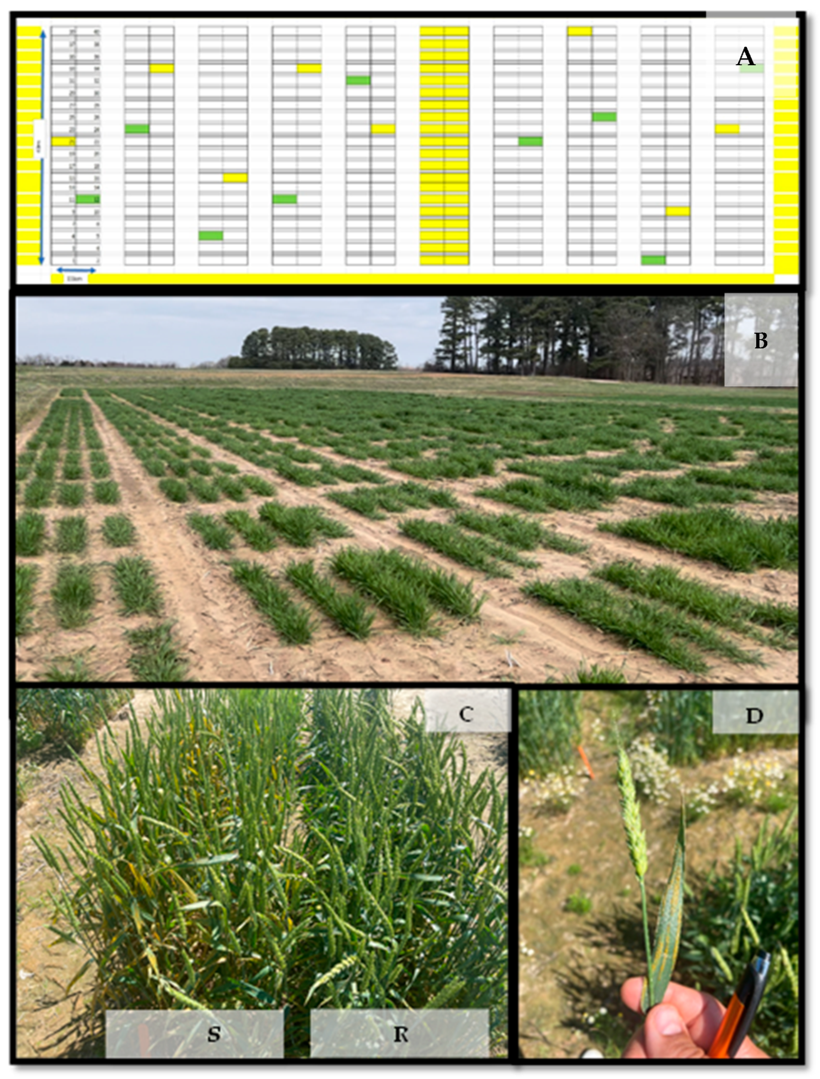 Agriculture 14 02140 g001