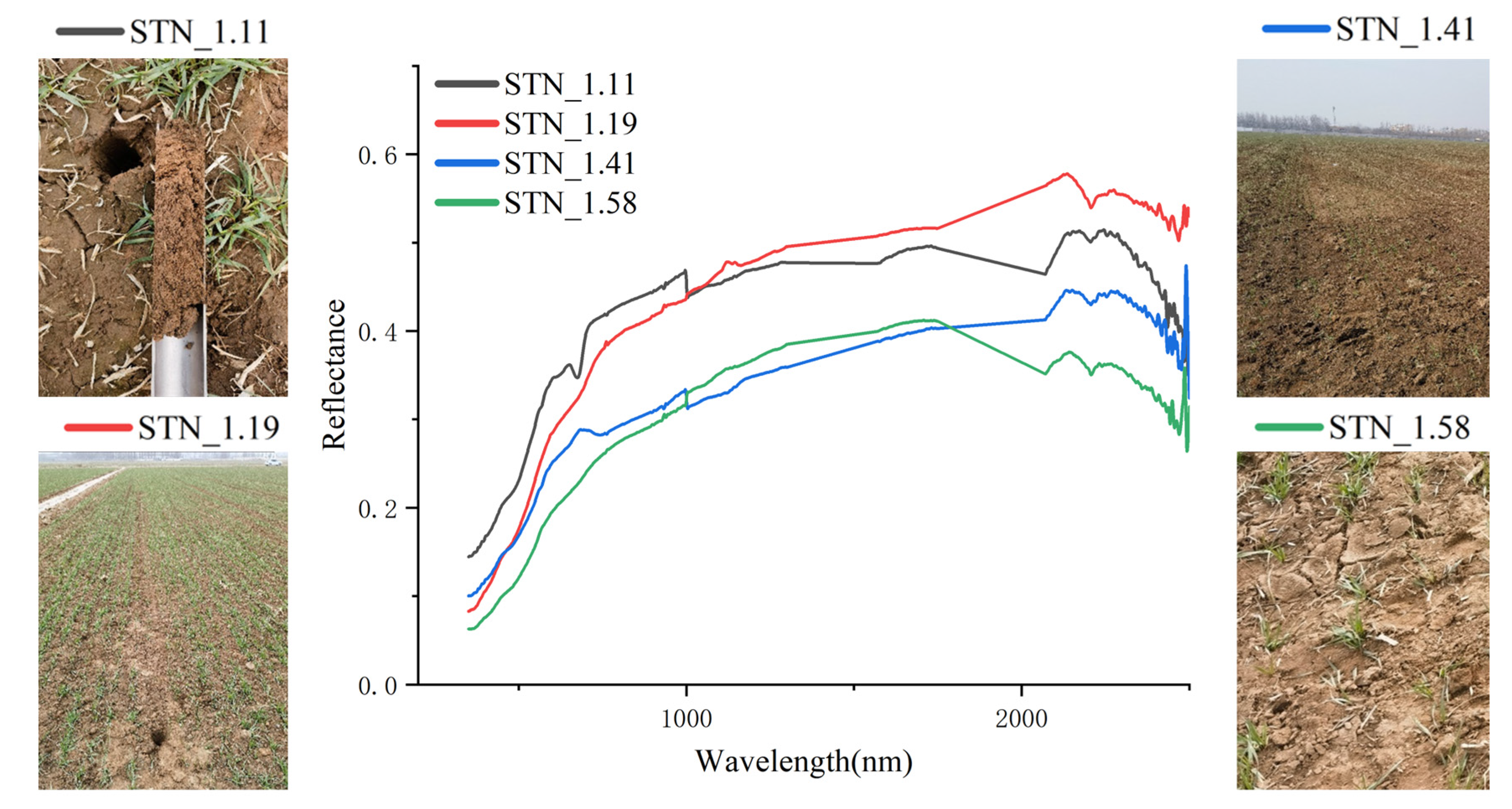 Agriculture 14 02145 g007