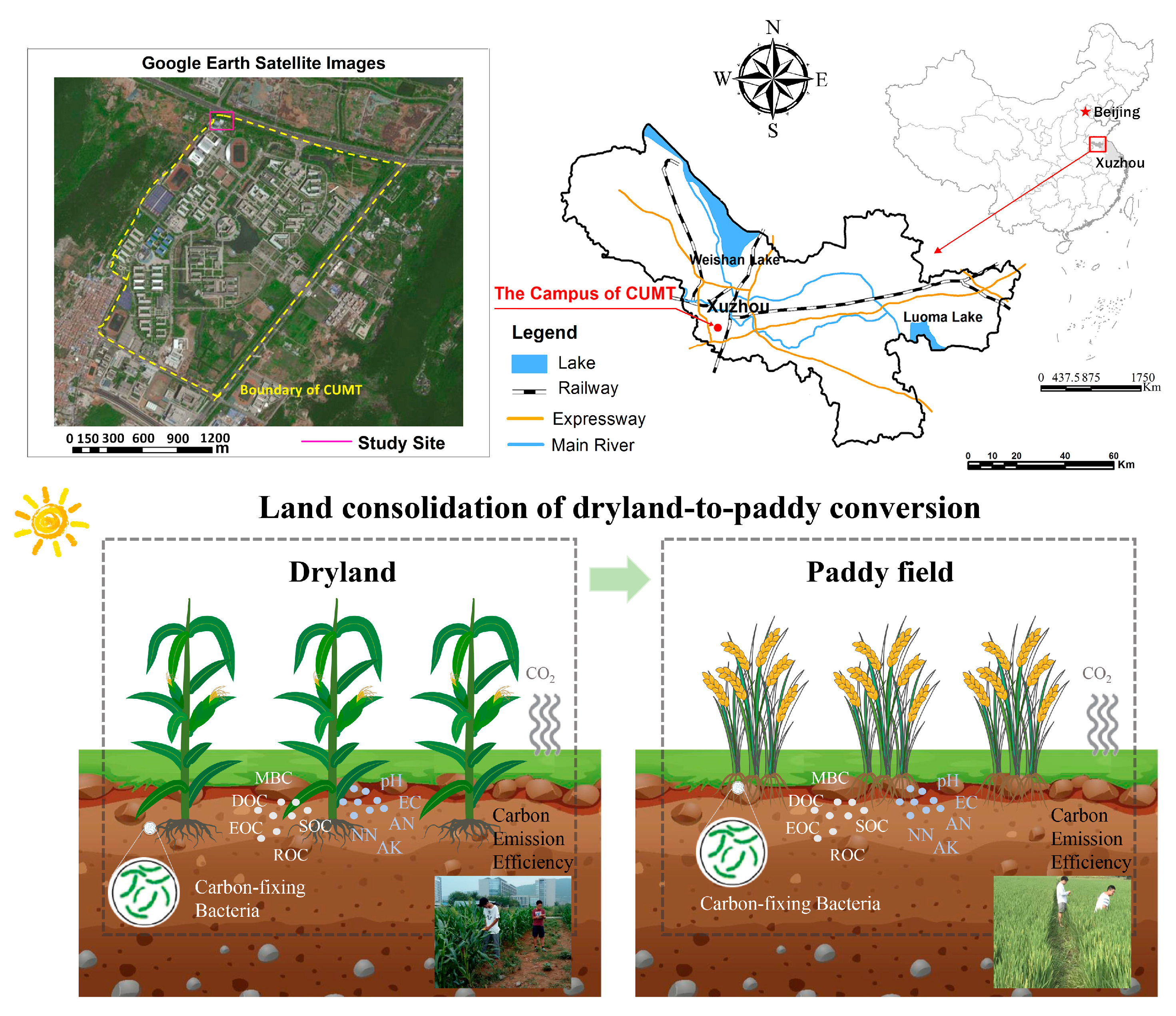Agriculture 14 02151 g001