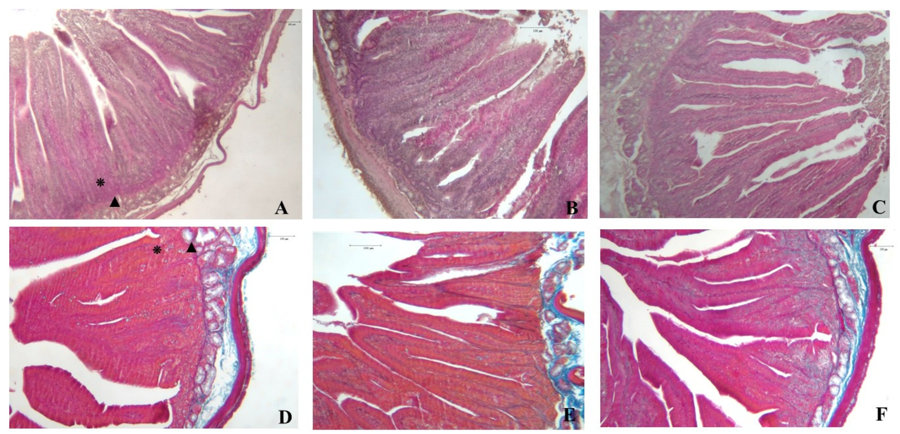 Agriculture 14 02152 g001