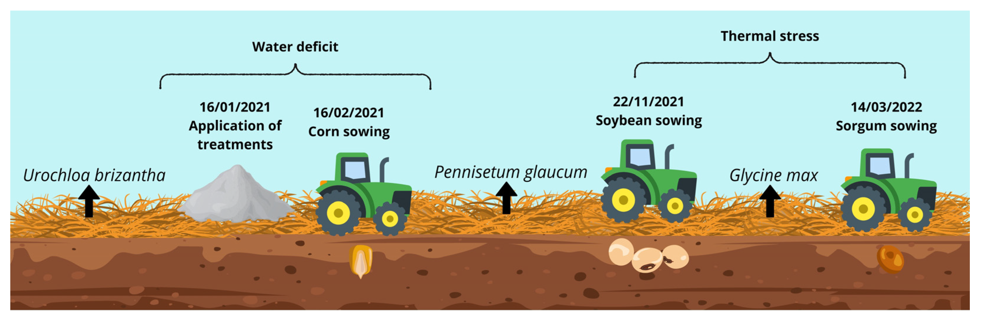 Agriculture 14 02153 g003