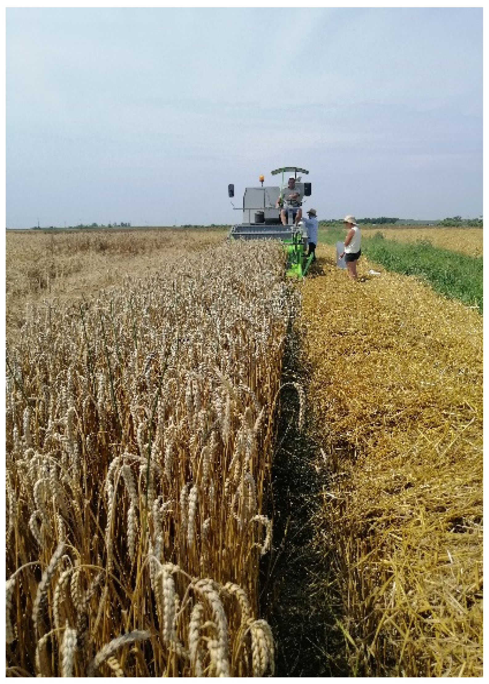 Agriculture 14 02155 g004