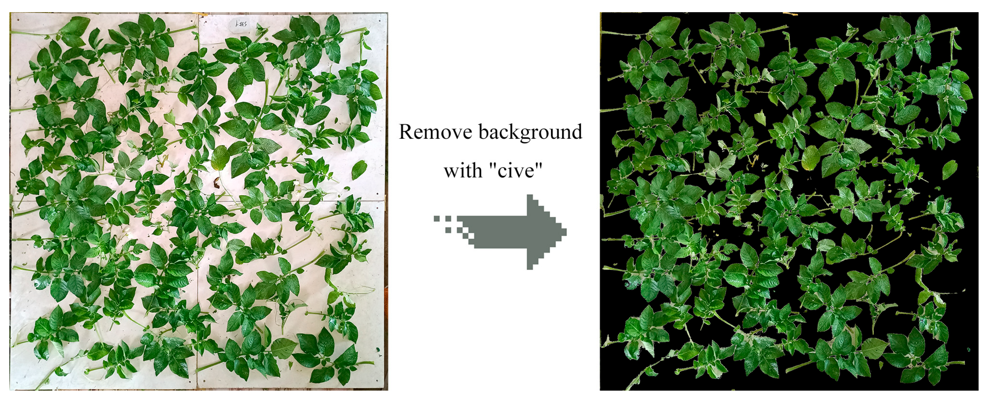 Agriculture 14 02159 g004