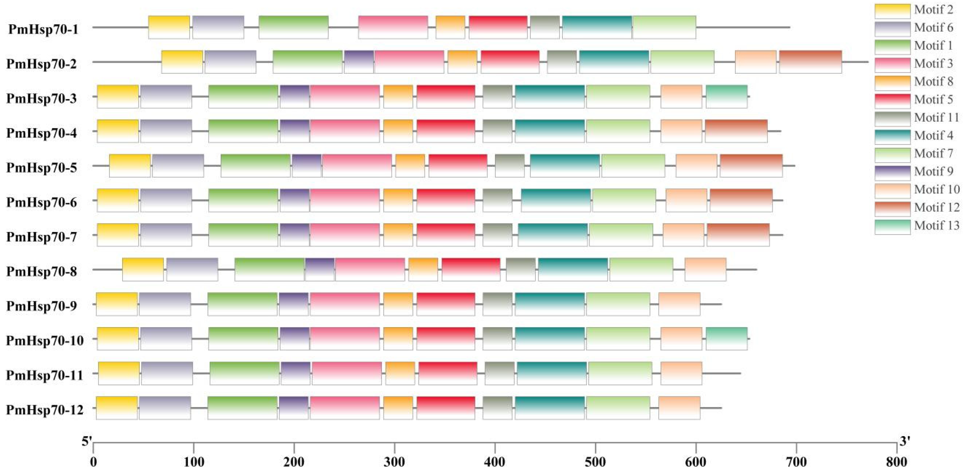 Agriculture 14 02164 g001