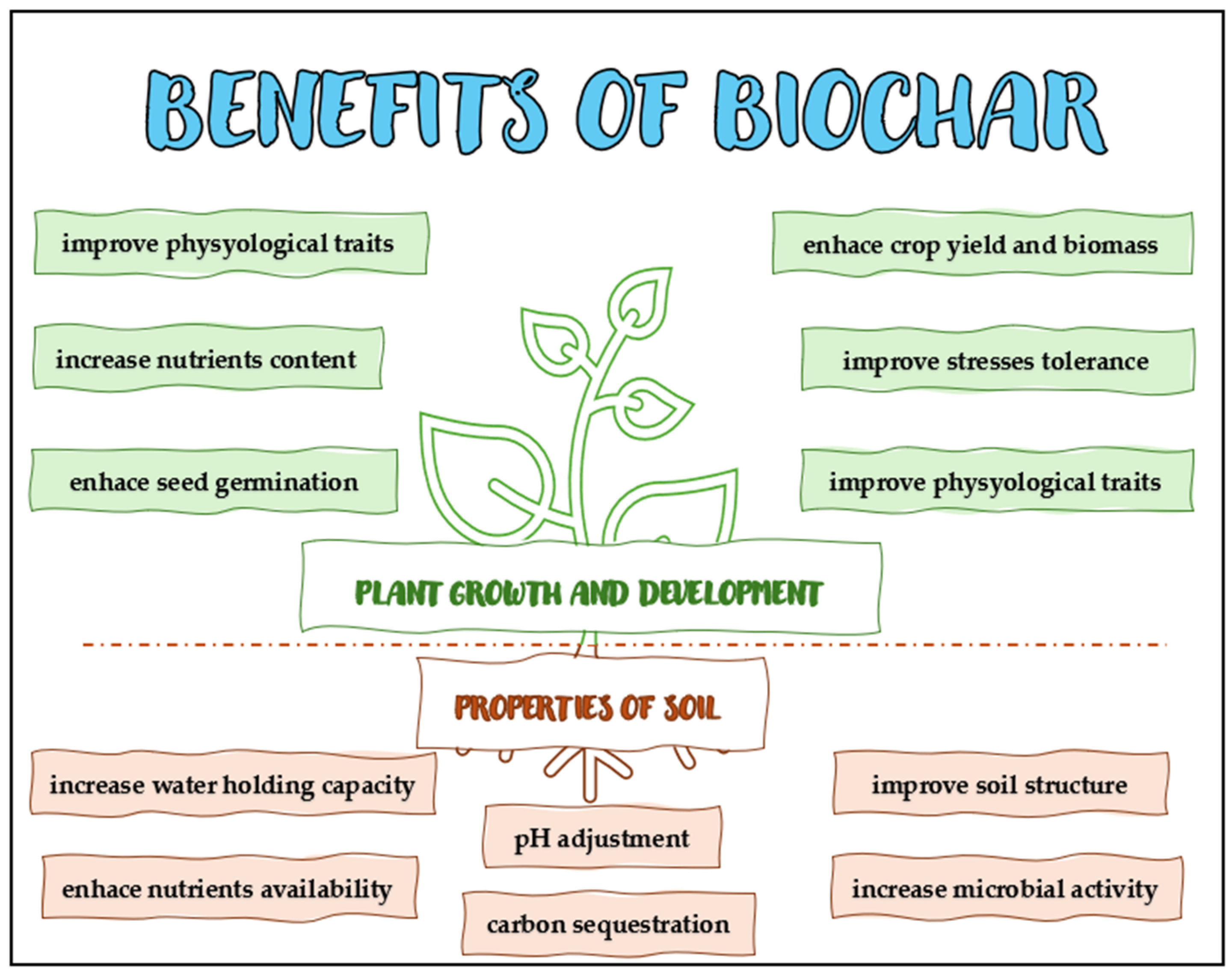 Agriculture 14 02165 g001
