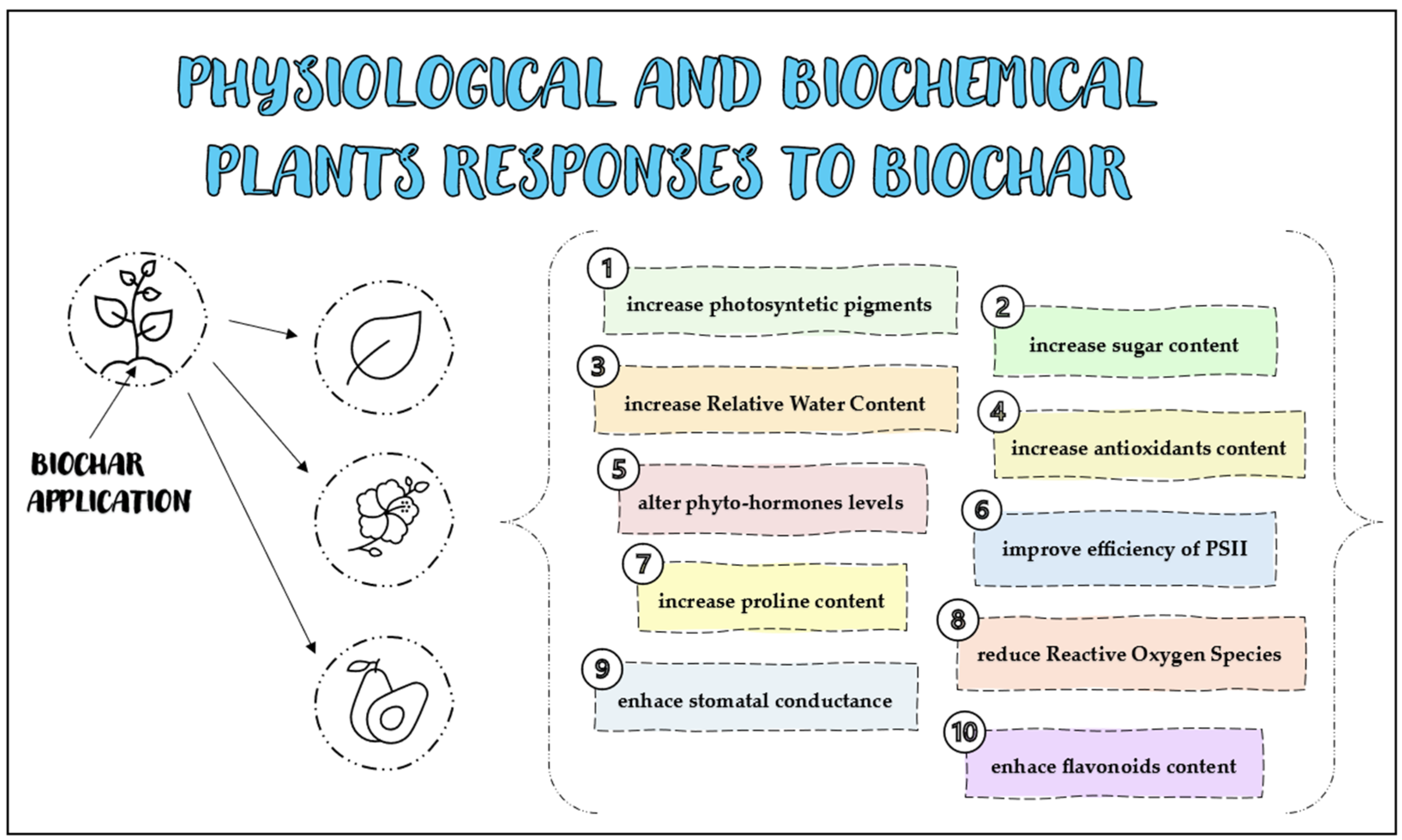 Agriculture 14 02165 g003