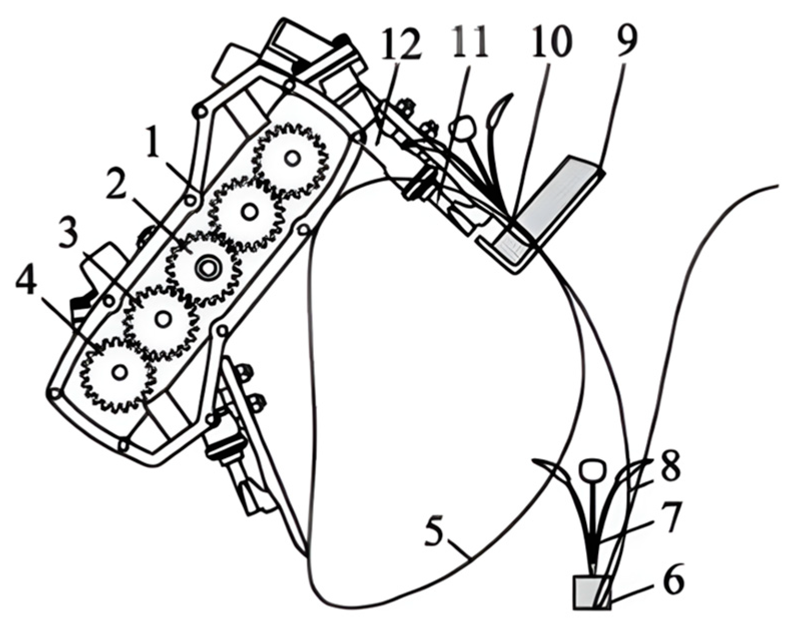 Agriculture 14 02168 g013