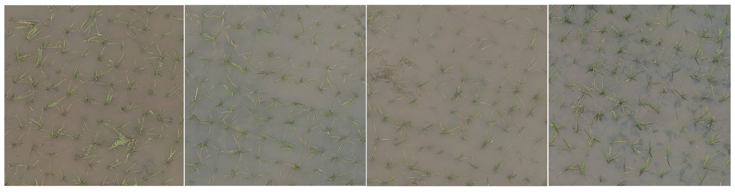 Agriculture 14 02169 g004