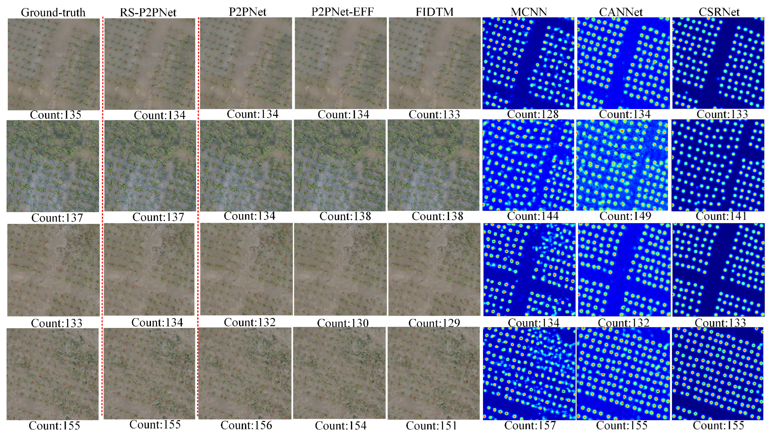 Agriculture 14 02169 g011