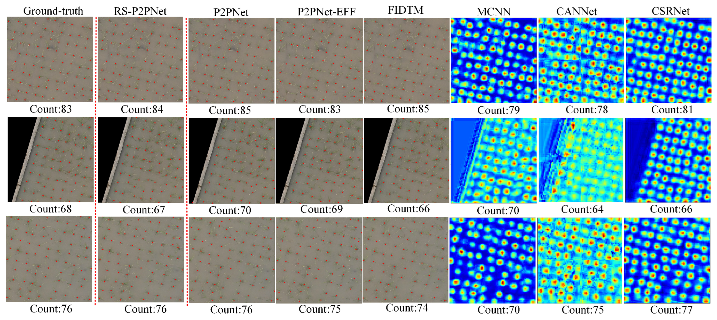Agriculture 14 02169 g012