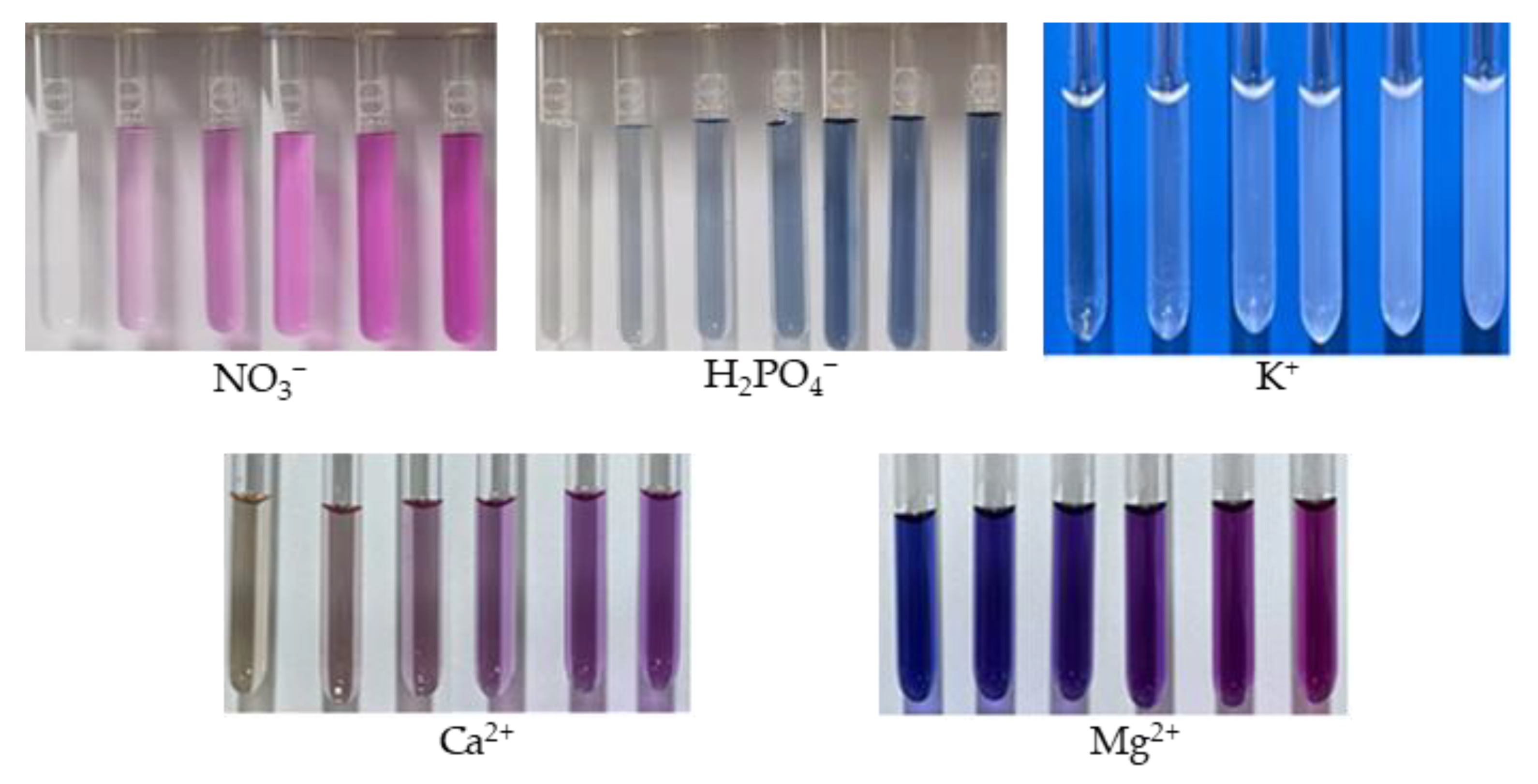 Agriculture 14 02171 g003