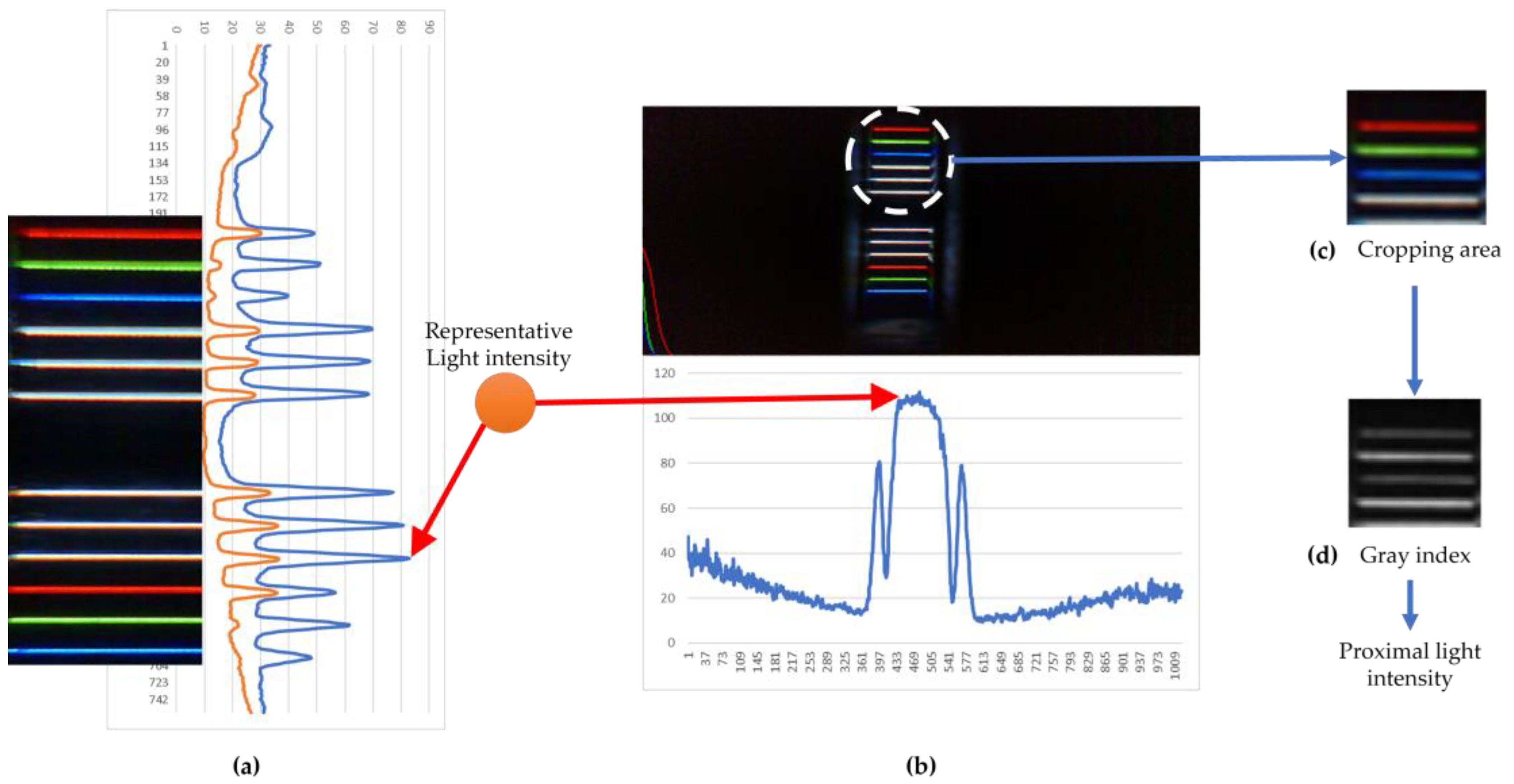 Agriculture 14 02171 g004