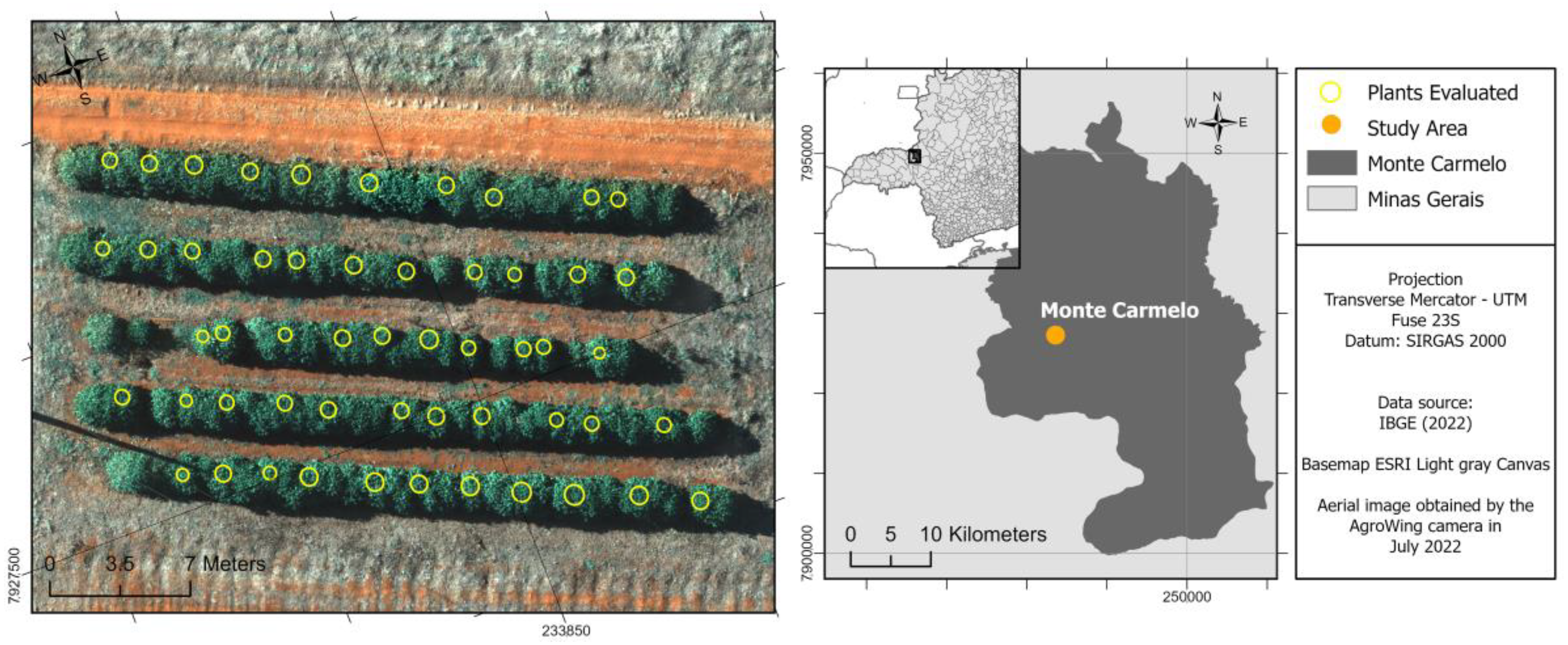 Agriculture 14 02173 g001