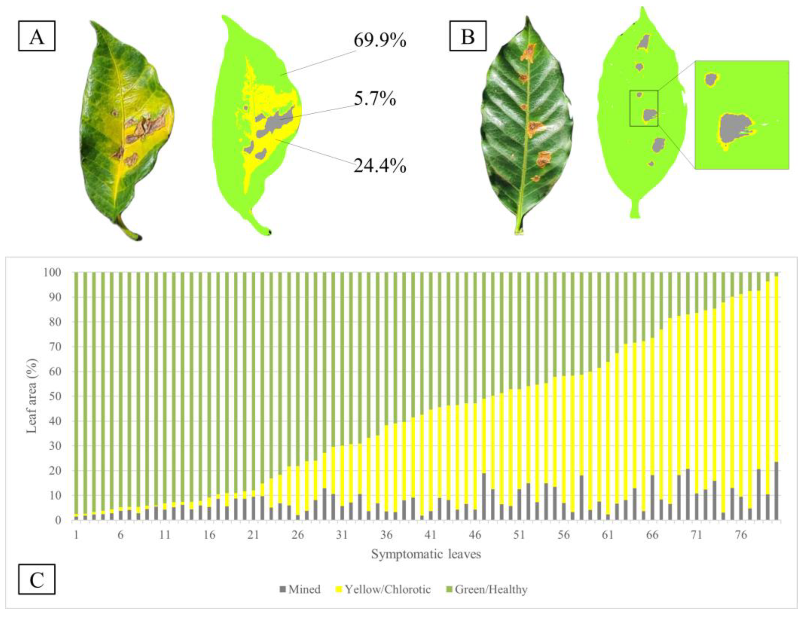 Agriculture 14 02173 g004