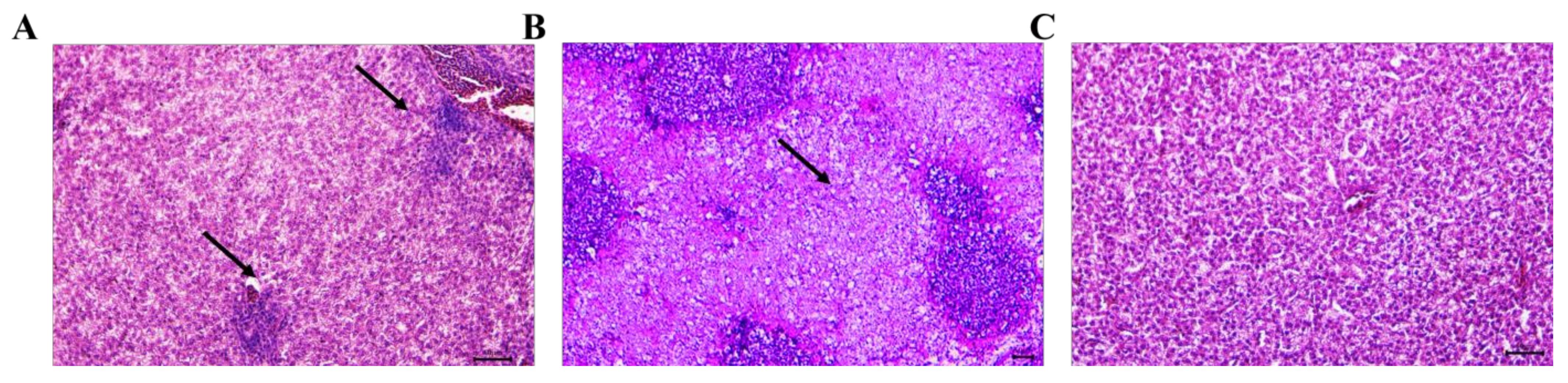 Agriculture 14 02176 g001