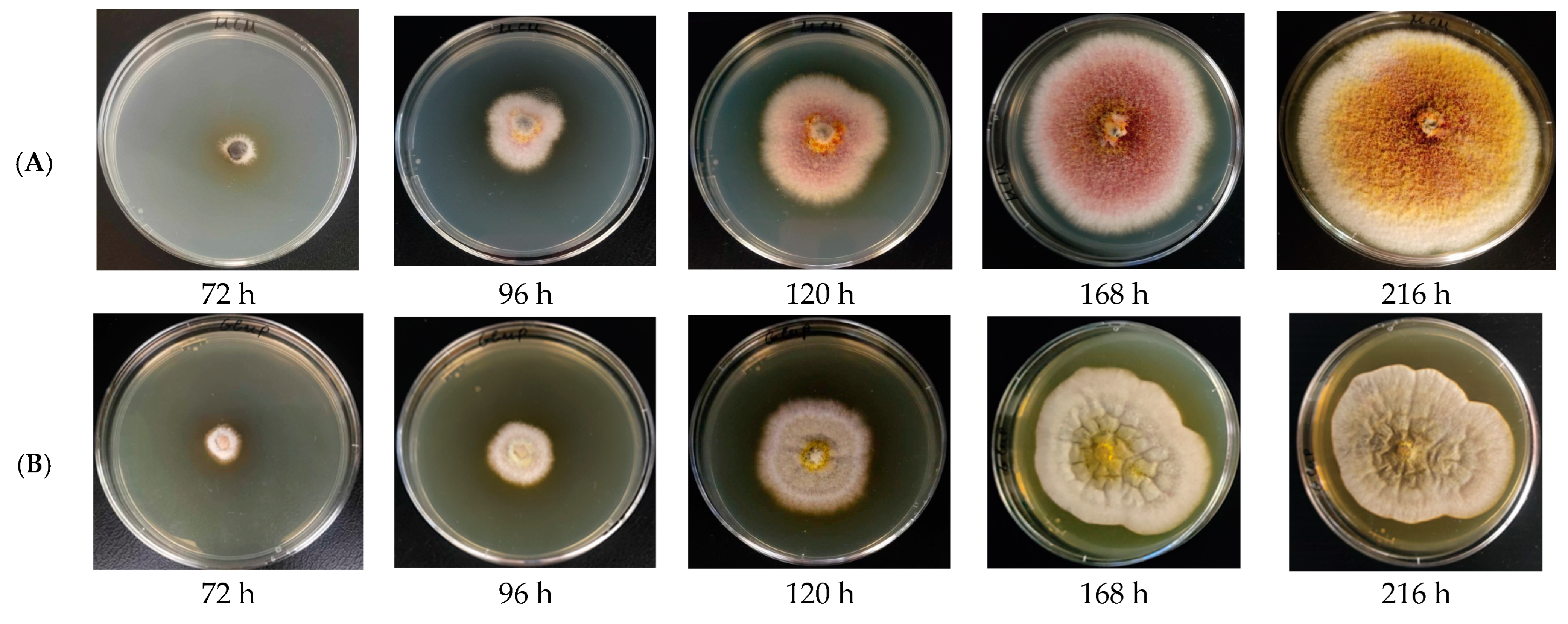 Agriculture 14 02179 g003