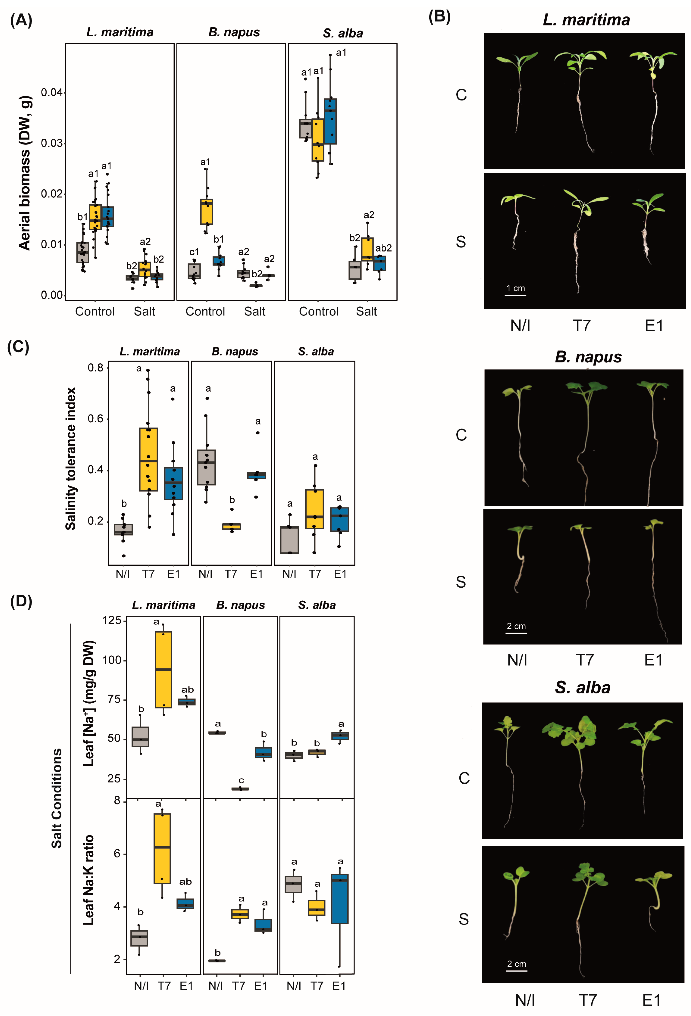 Agriculture 14 02184 g005