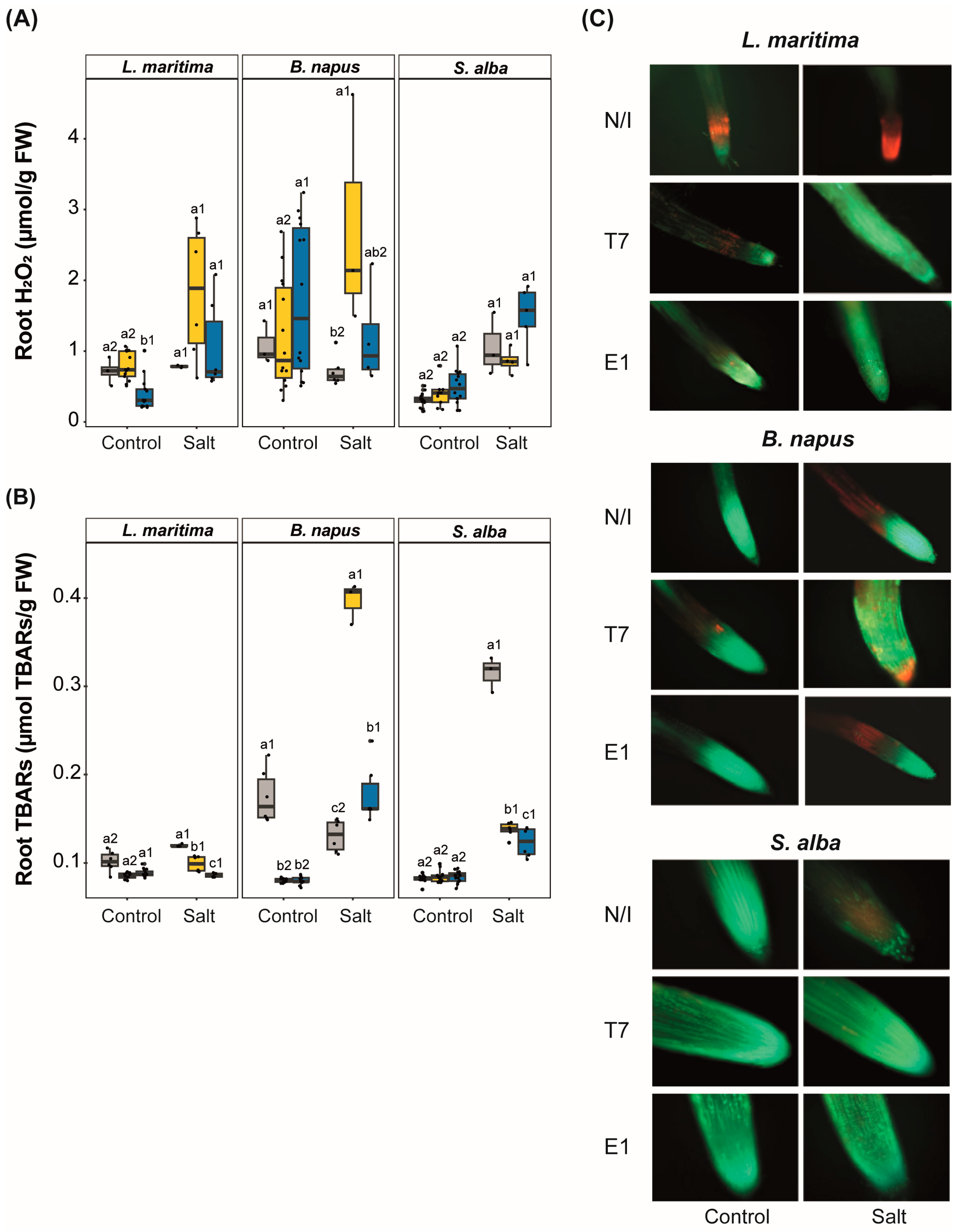 Agriculture 14 02184 g006
