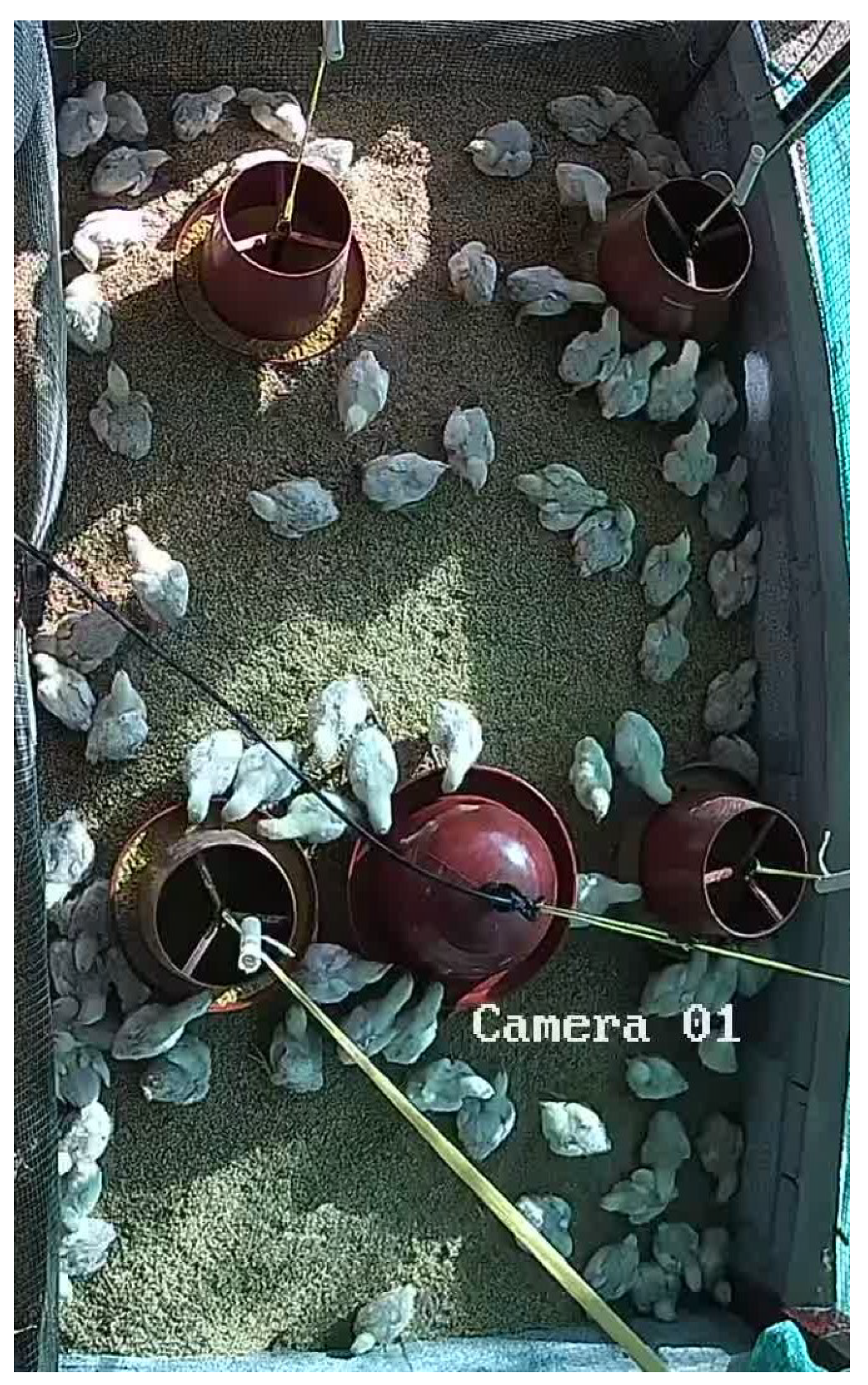 Agriculture 14 02187 g004