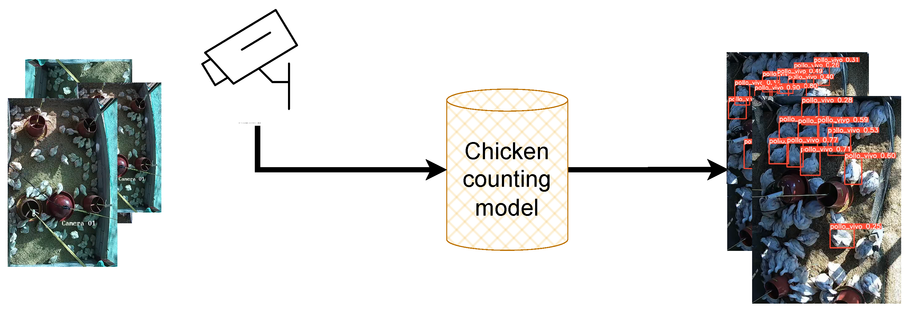 Agriculture 14 02187 g007