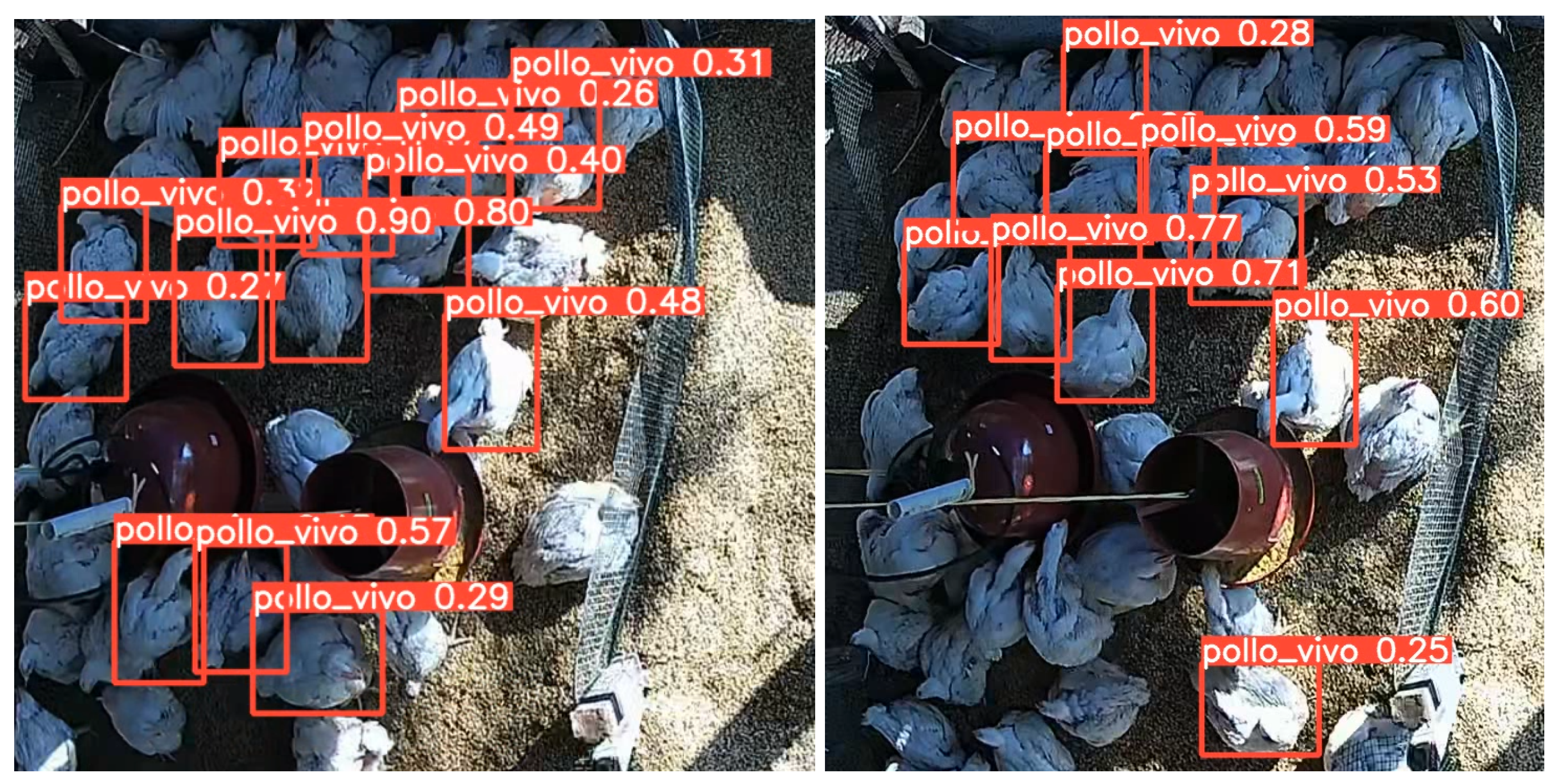 Agriculture 14 02187 g008